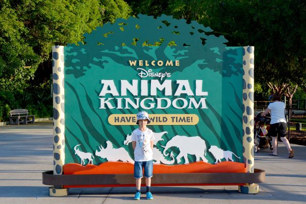 Animal Kingdom Walt Disney World