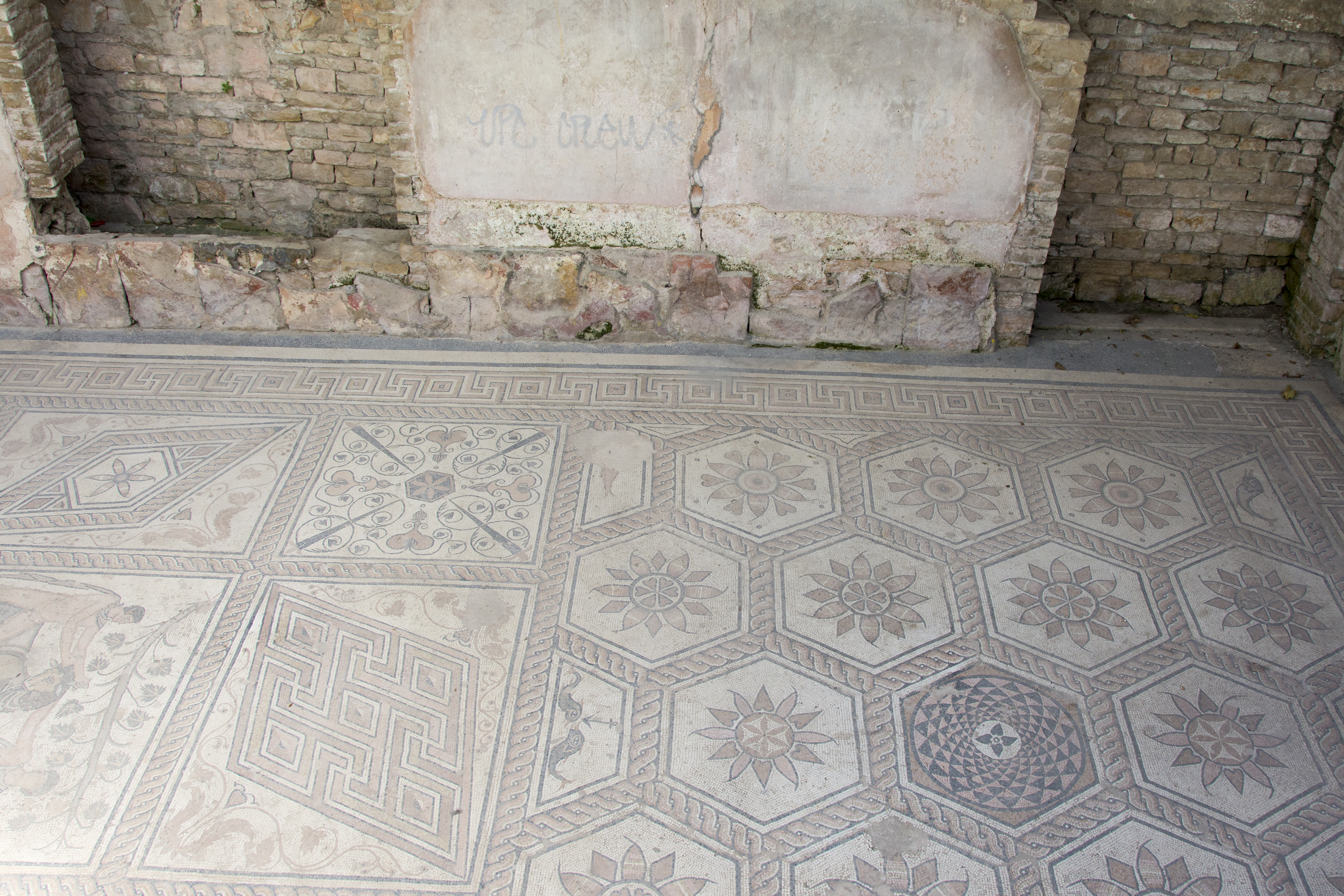 Roman Floor Mosaic pula kroatien