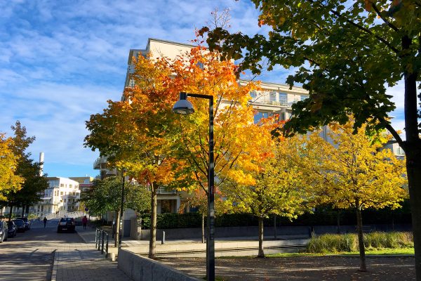 hammarby sjöstad höstfärger