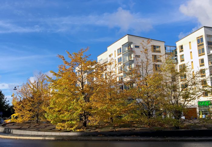 hammarby sjöstad rondell