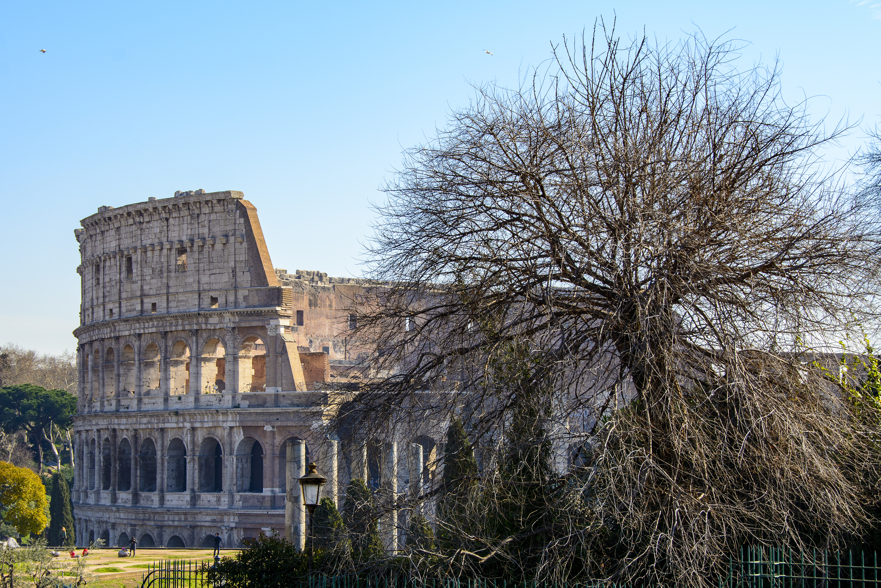 colosseum rom