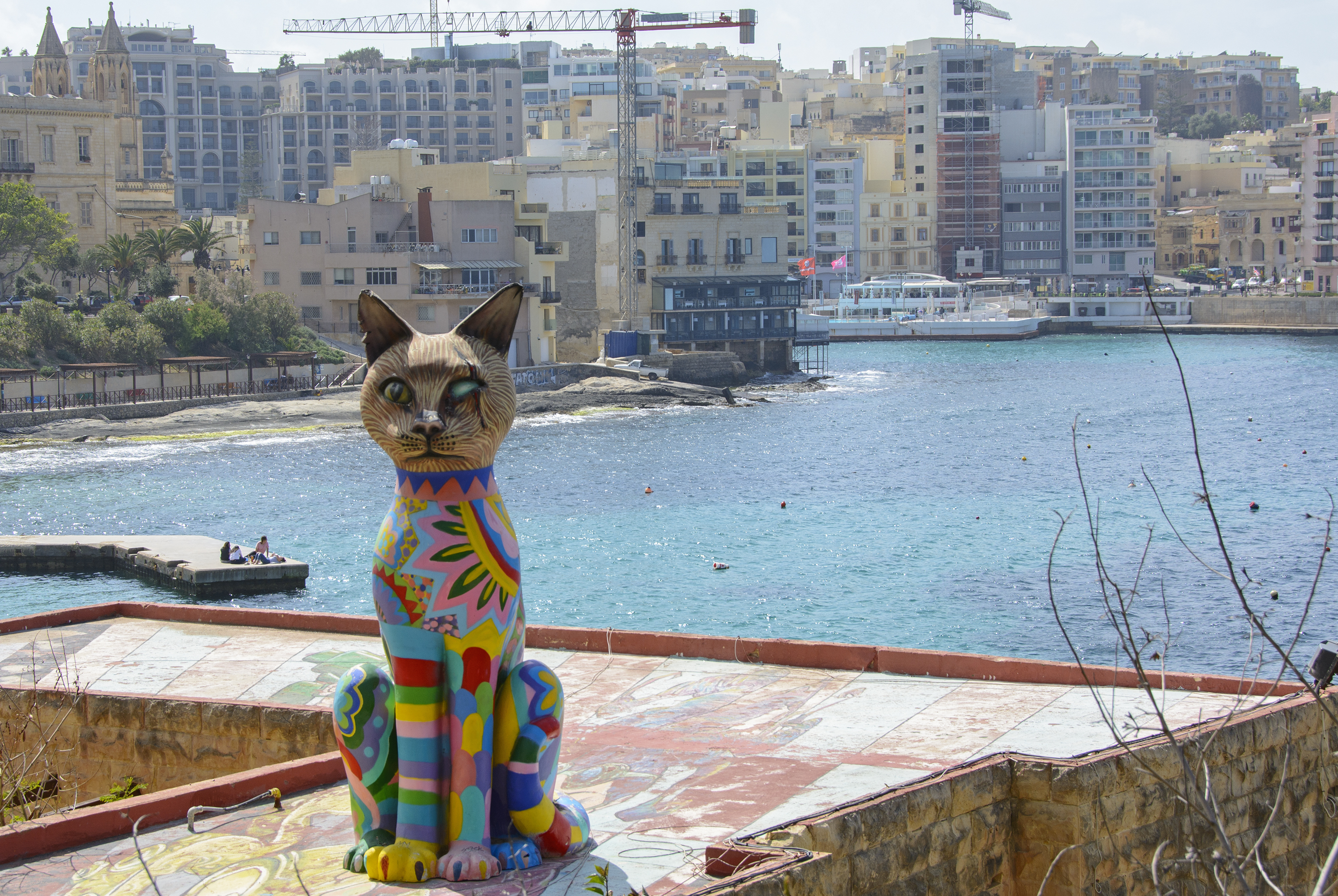 katt på tak sliema malta