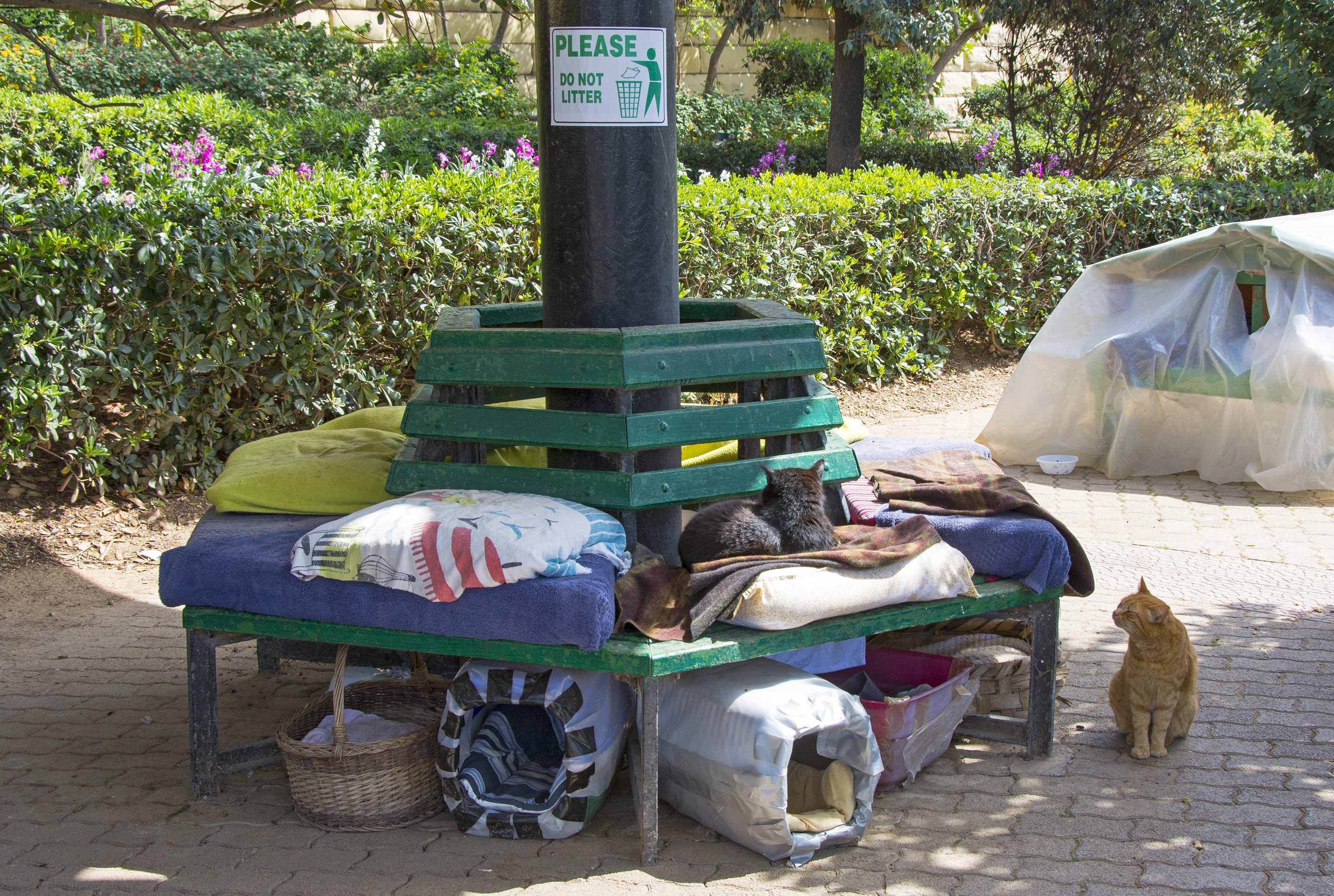 katter independence park sliema malta