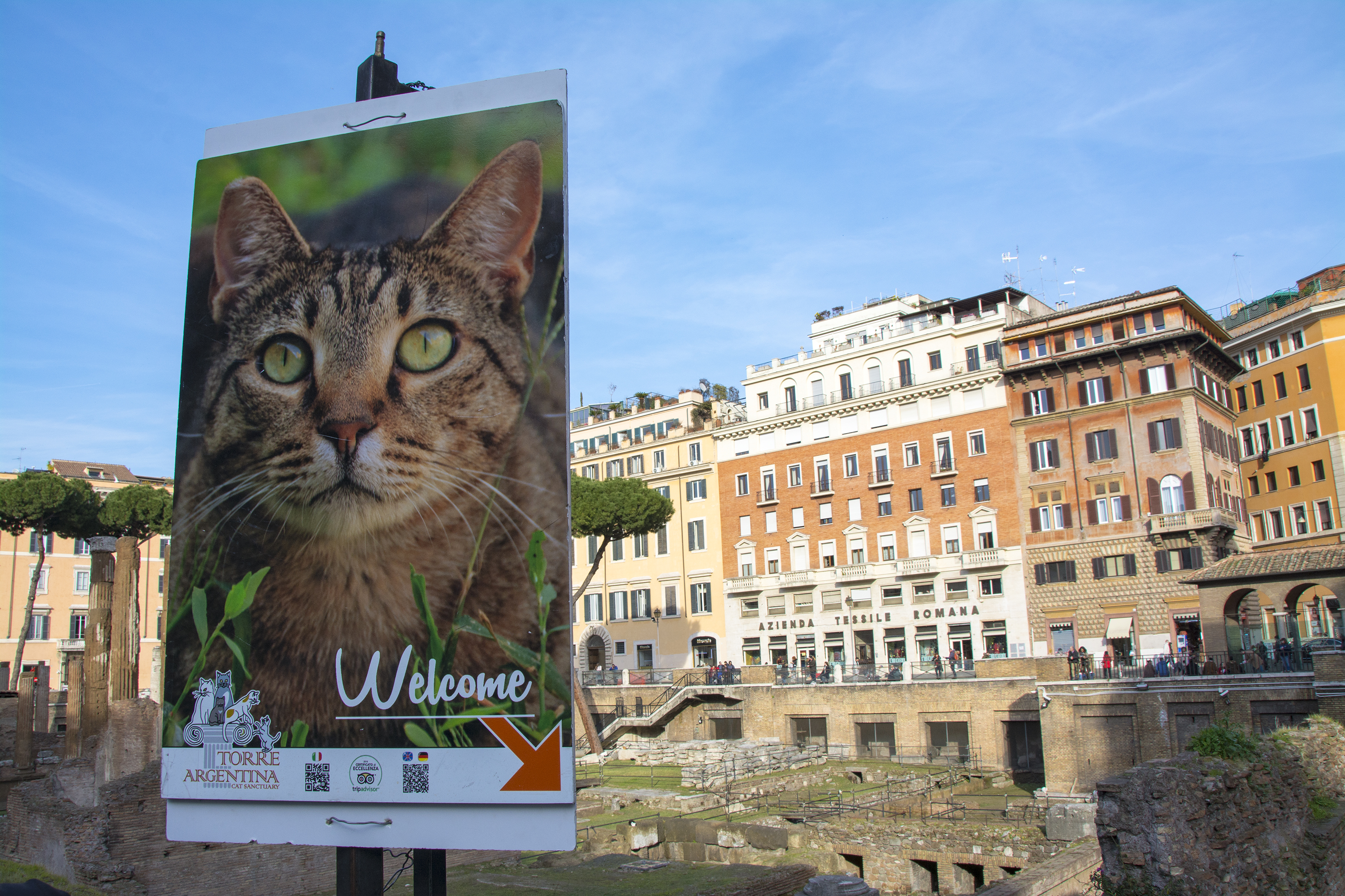 Torre Argentina Cat Sanctuary 