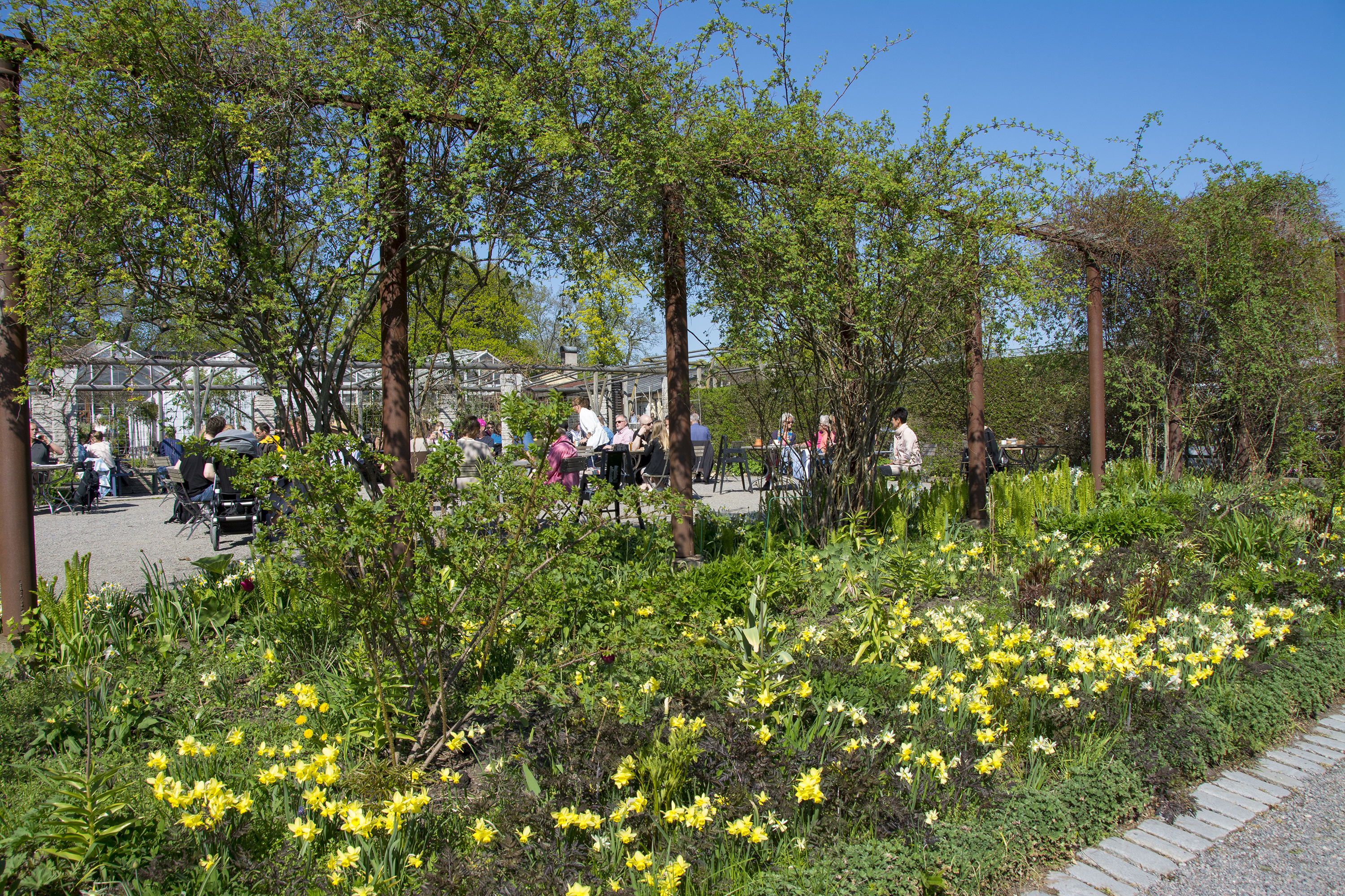 rosendals trädgård