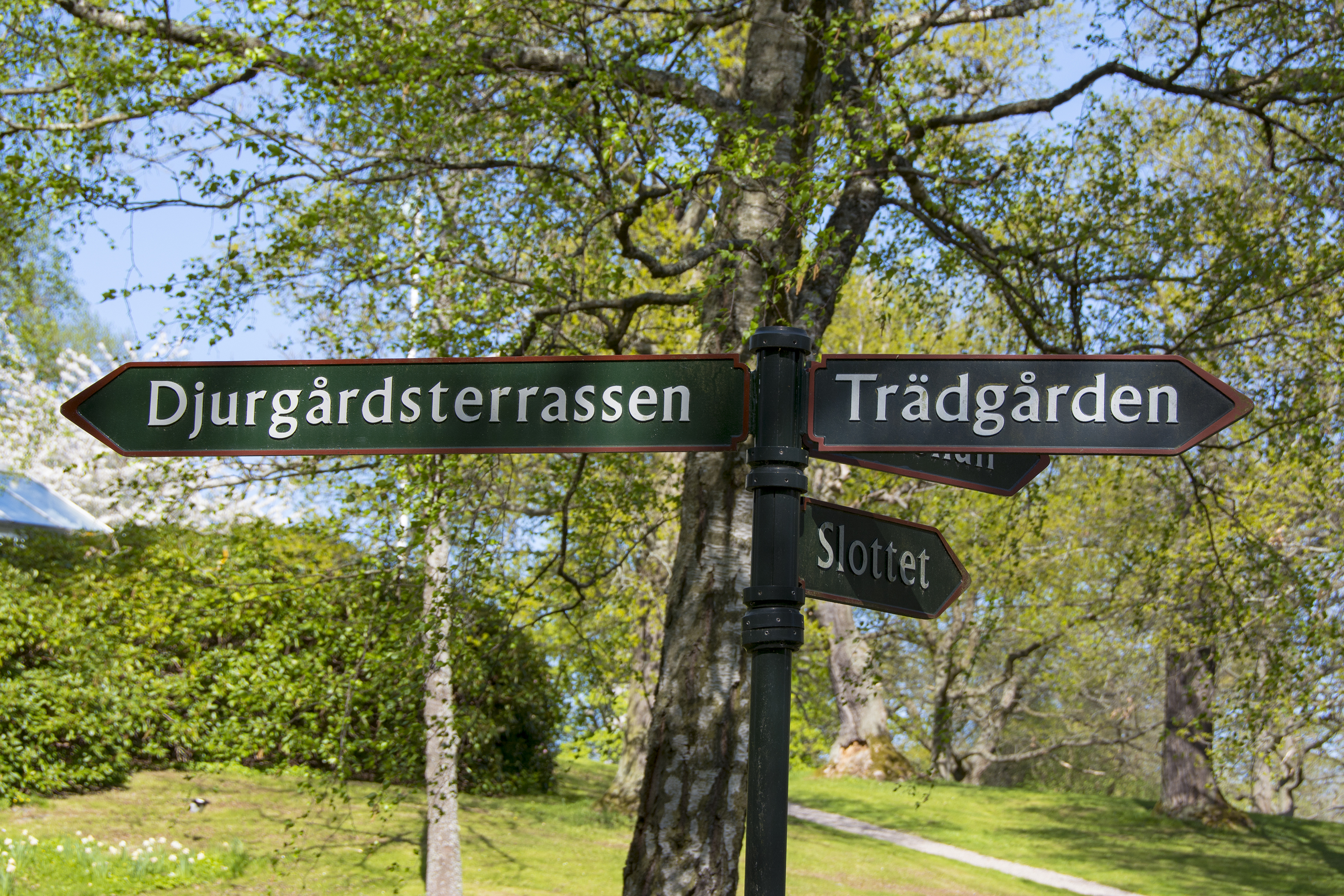 rosendals trädgård