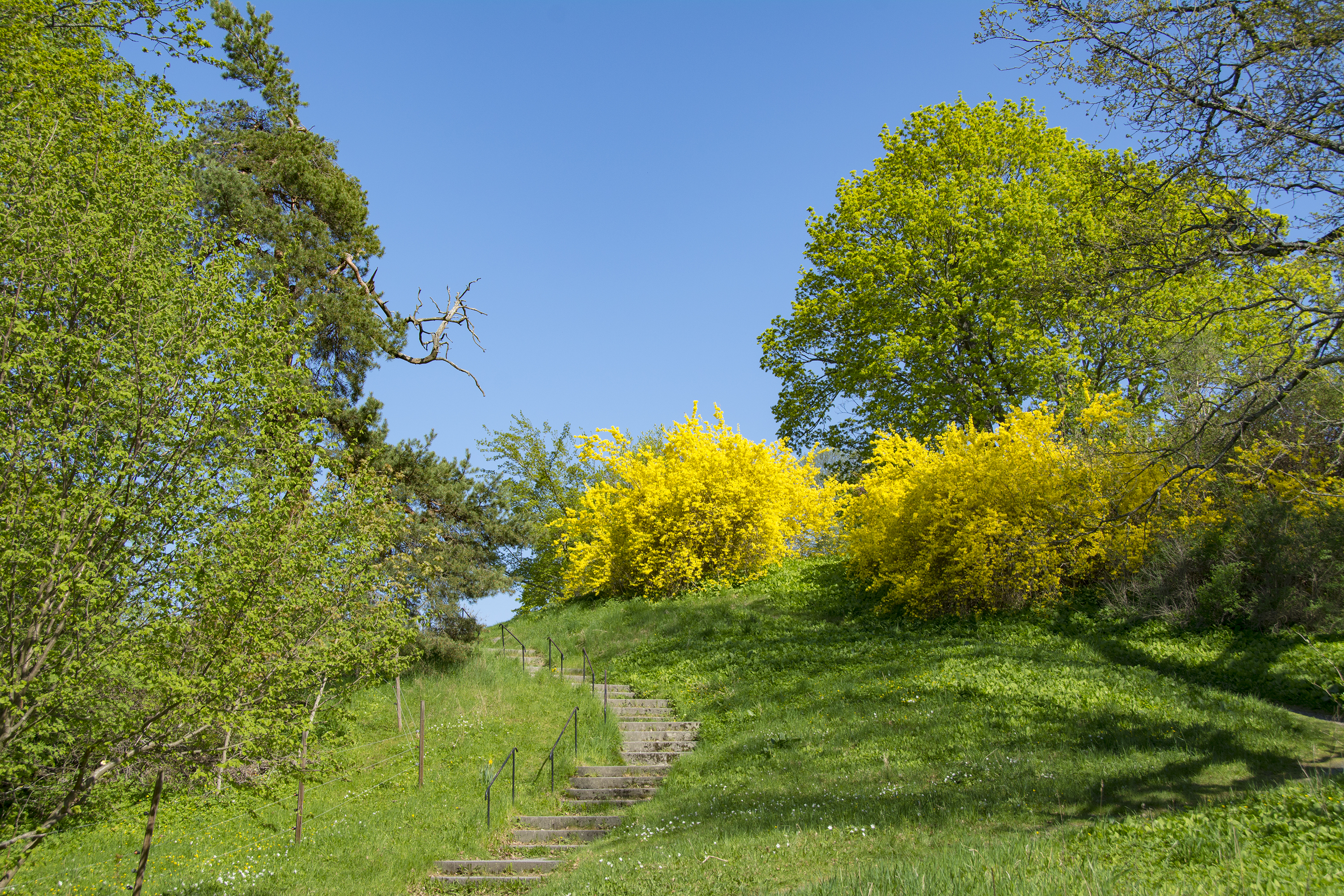 vägen till rosendal