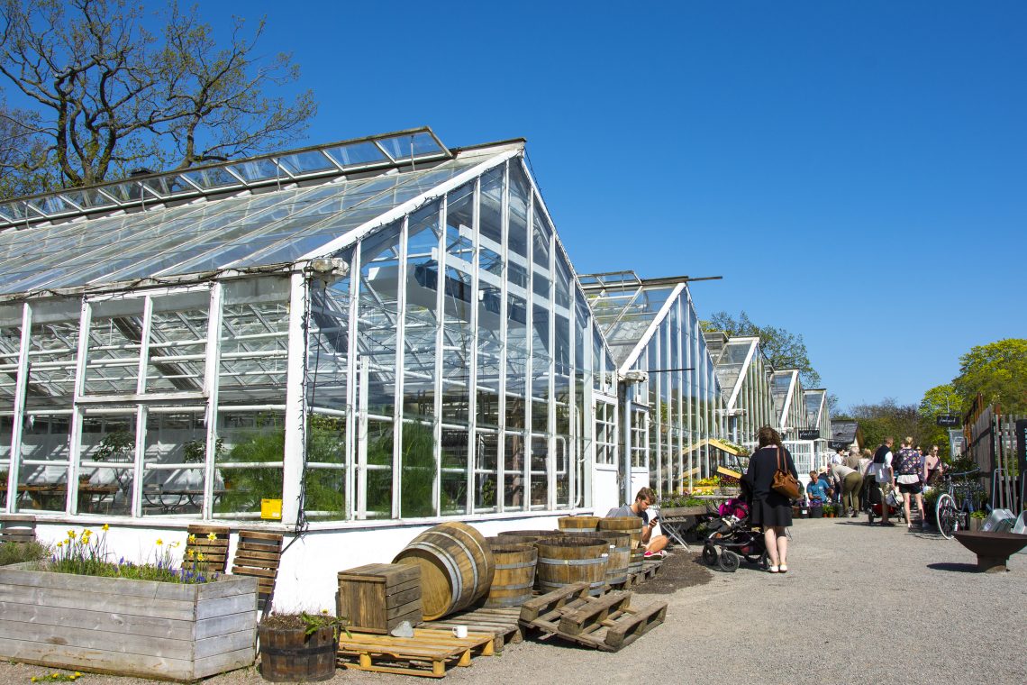 växthus rosendal
