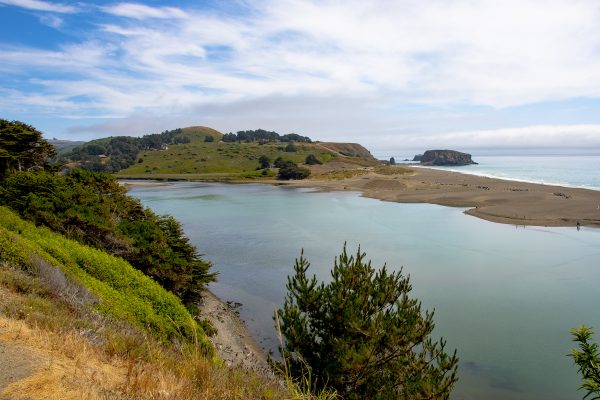 Goat Rock Beach Highway one