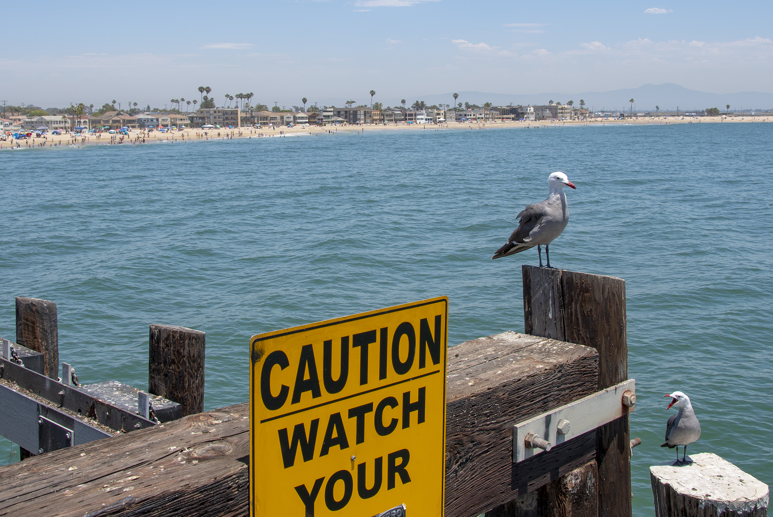 seal beach 