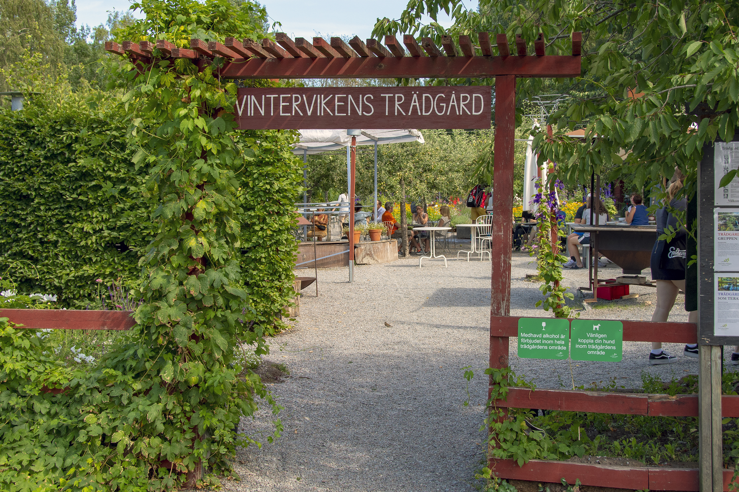 vintervikens trädgård sommarcaféer