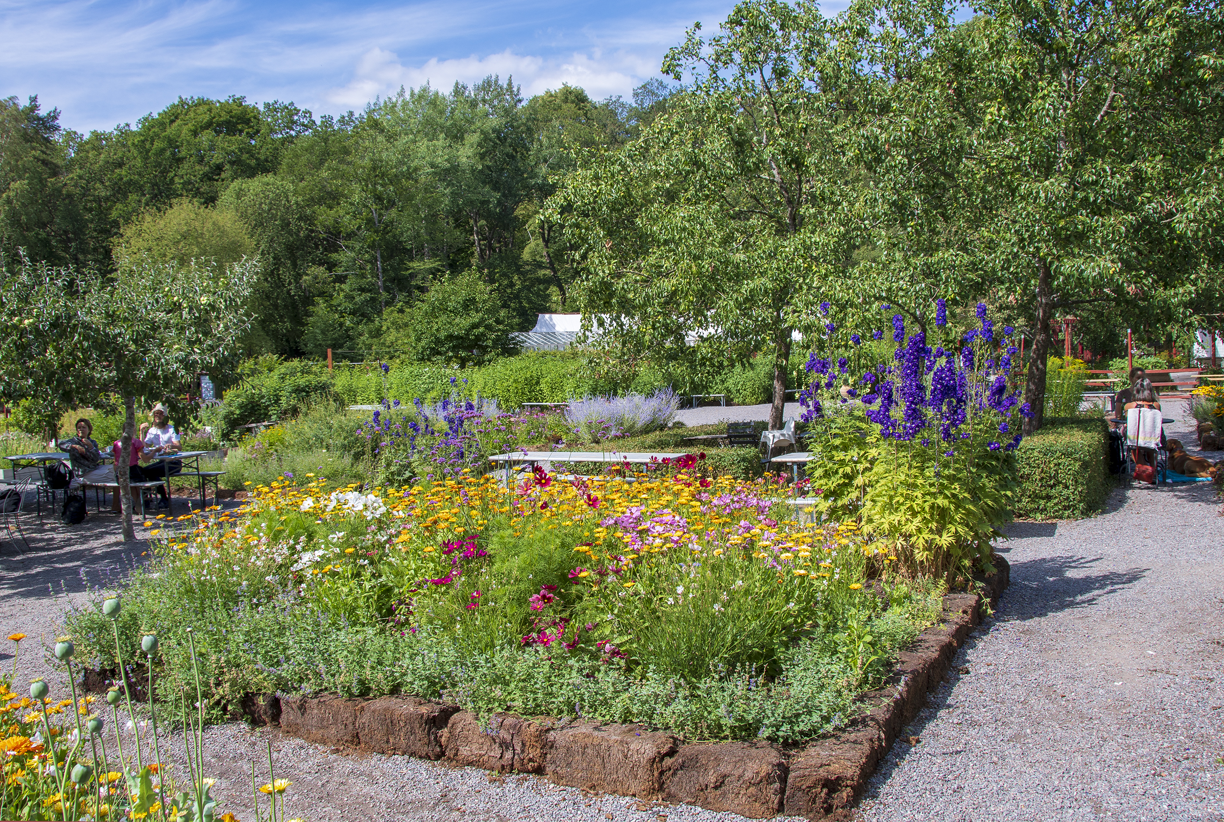 vintervikens trädgård blommor