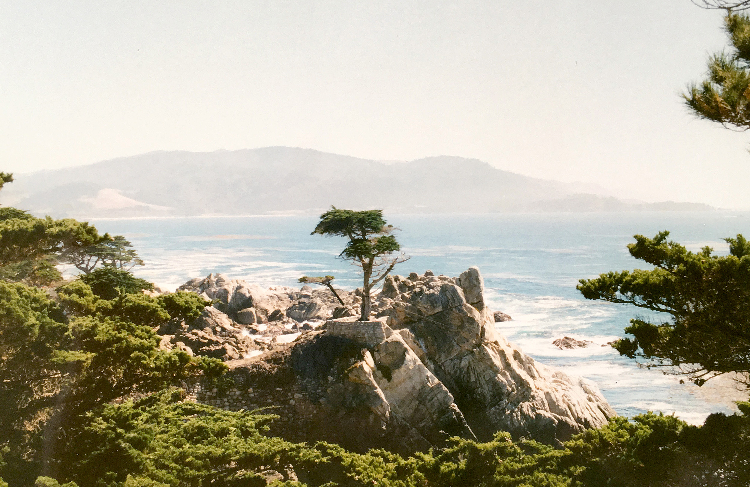 Lone Cypress på Pebble Beach