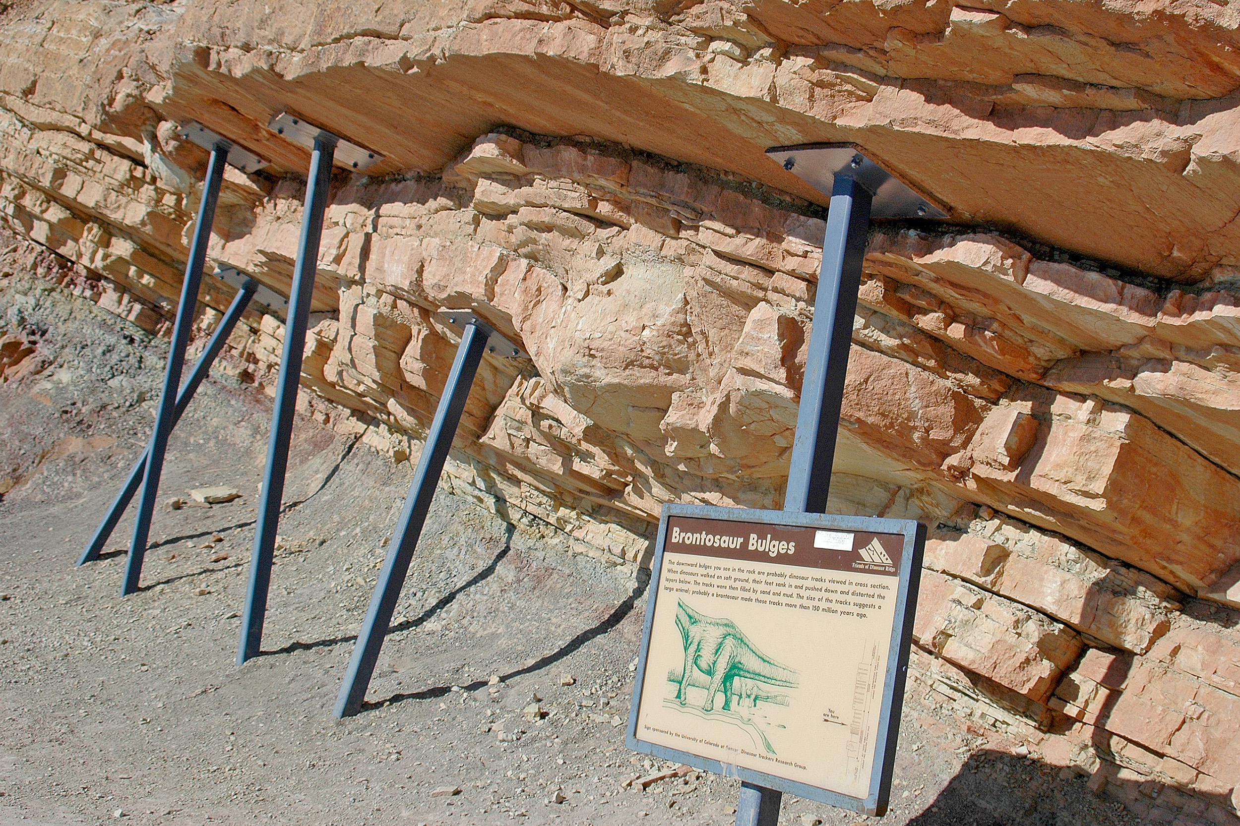 Brontosaurus Dinosaur Ridge denver colorado
