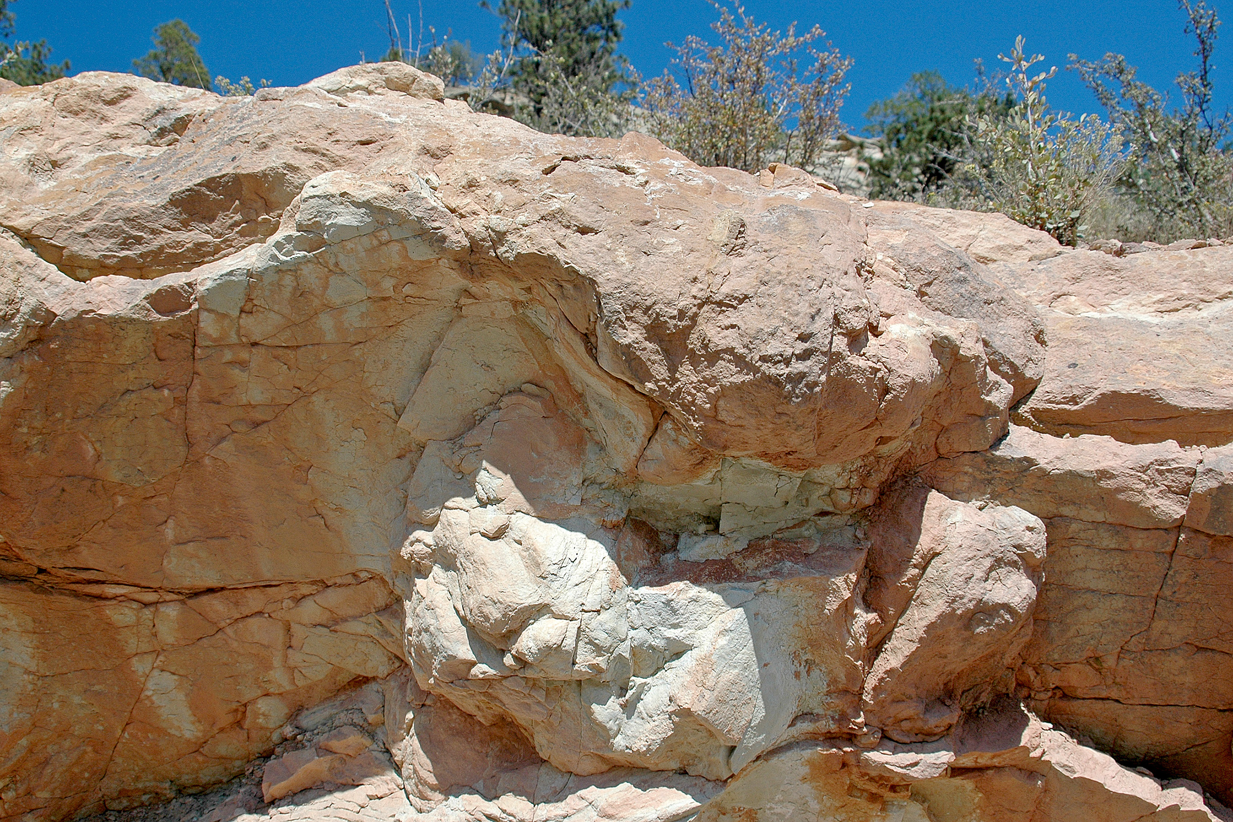 Brontosaurus Dinosaur Ridge denver colorado
