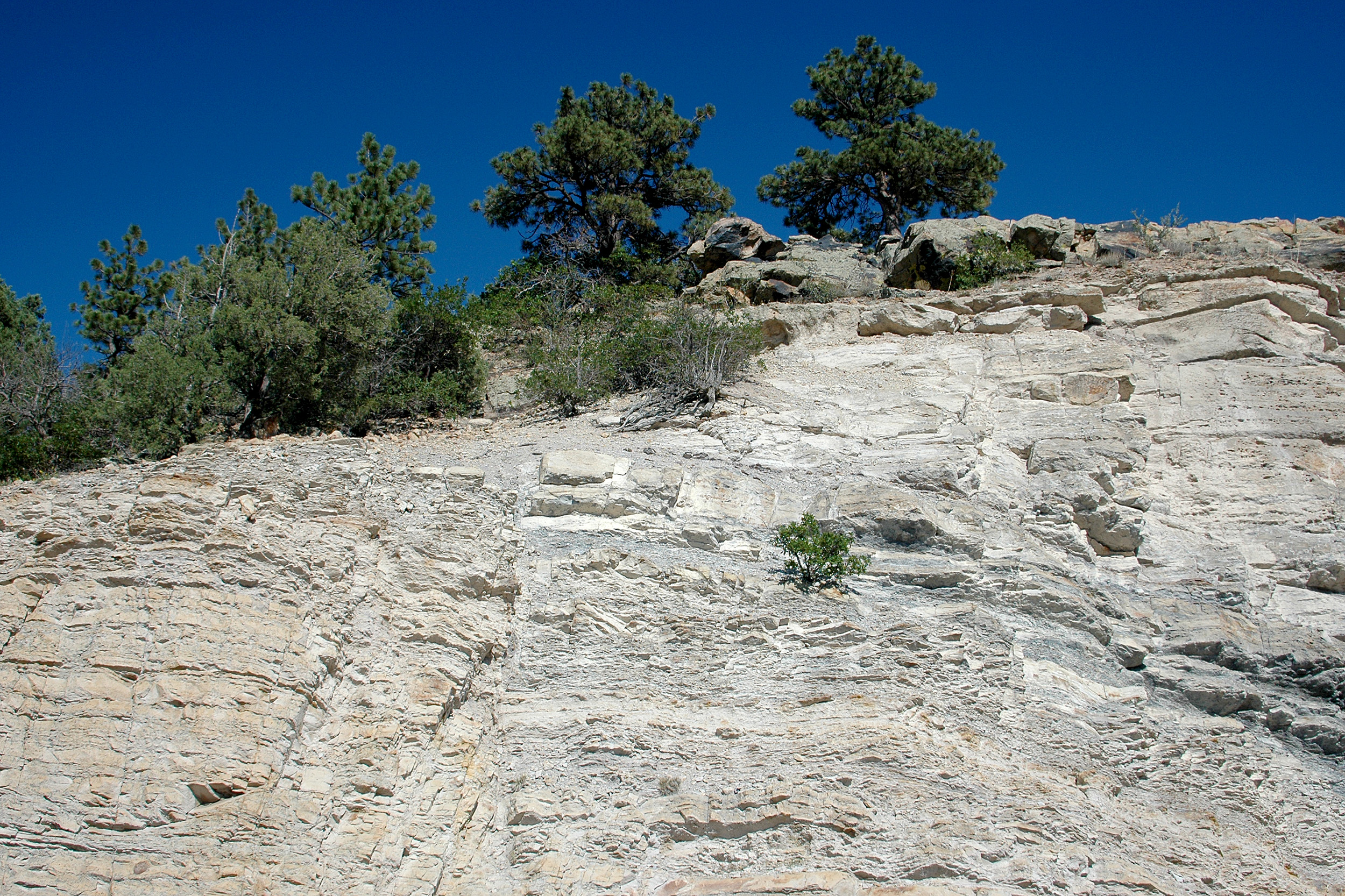Dinosaur Ridge denver colorado