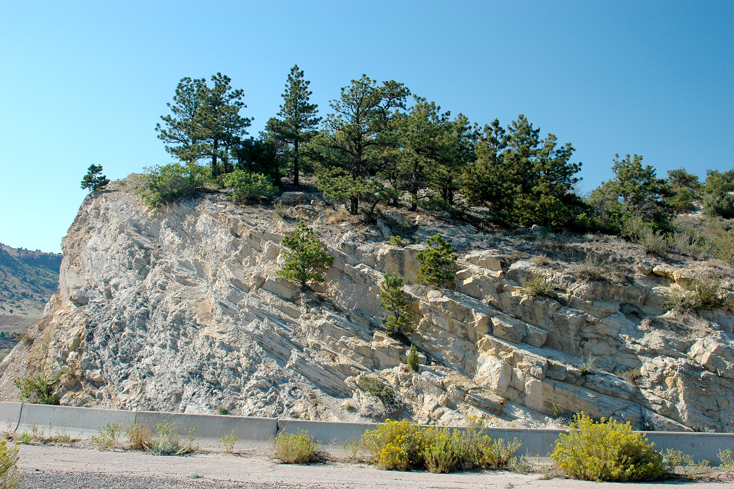 Dinosaur Ridge denver colorado