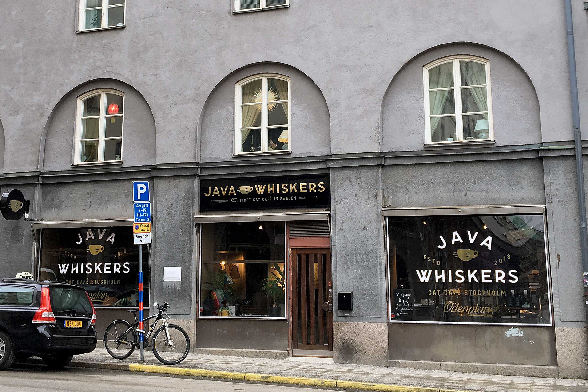 Java Whiskers Kattcafé Surbrunnsgatan