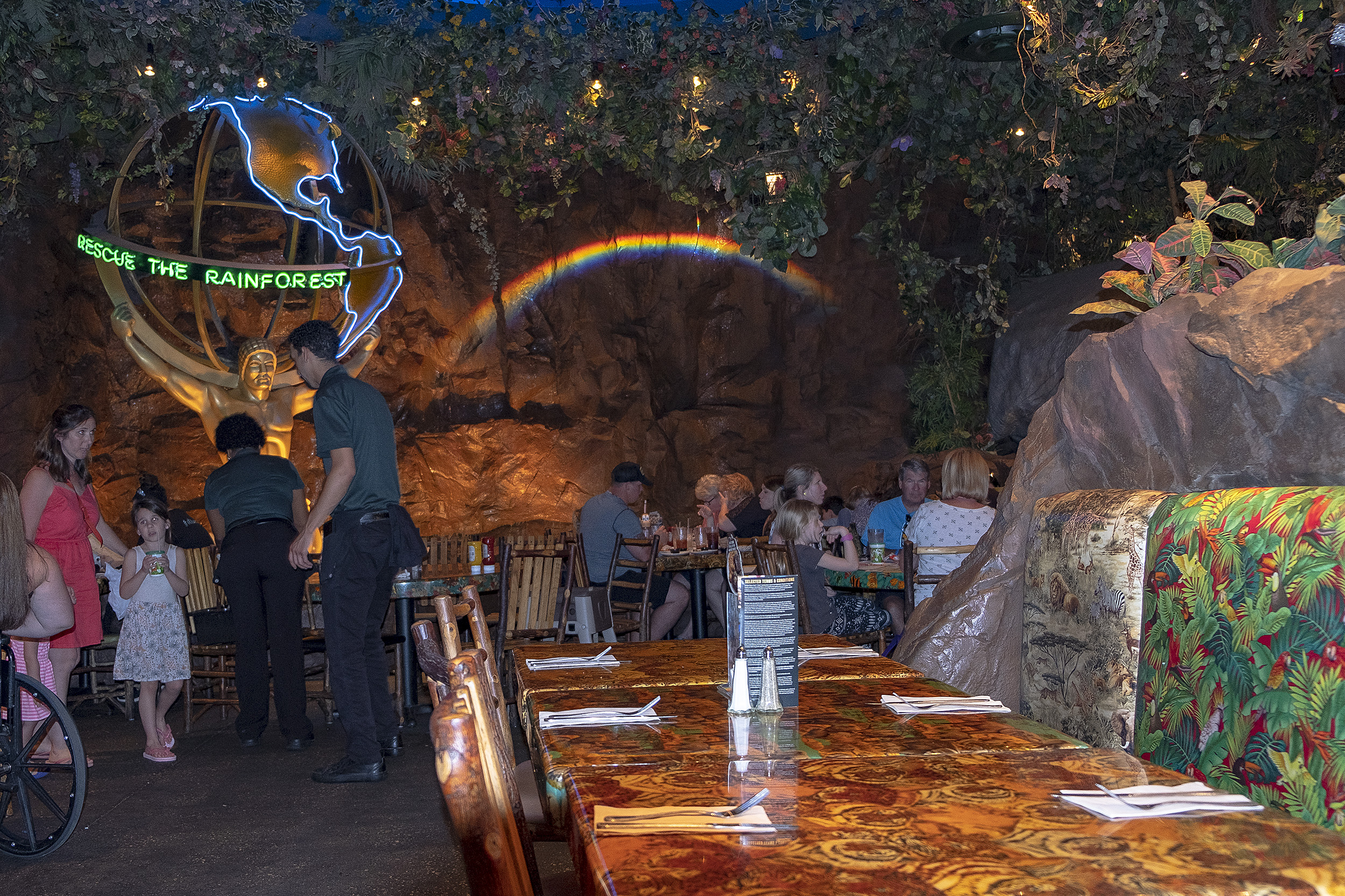 Disney Springs Rainforest cafe