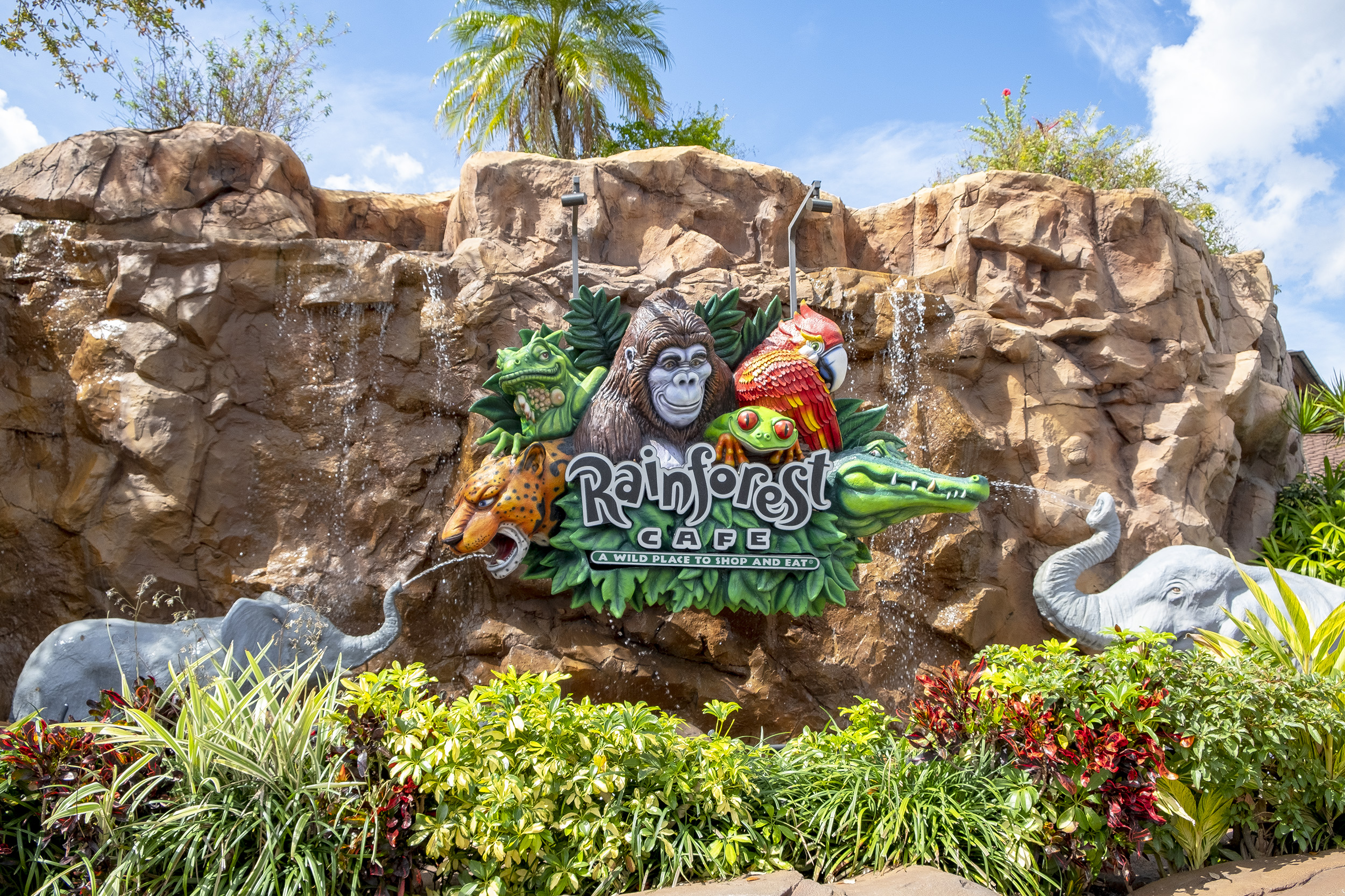 Disney Springs Rainforest cafe