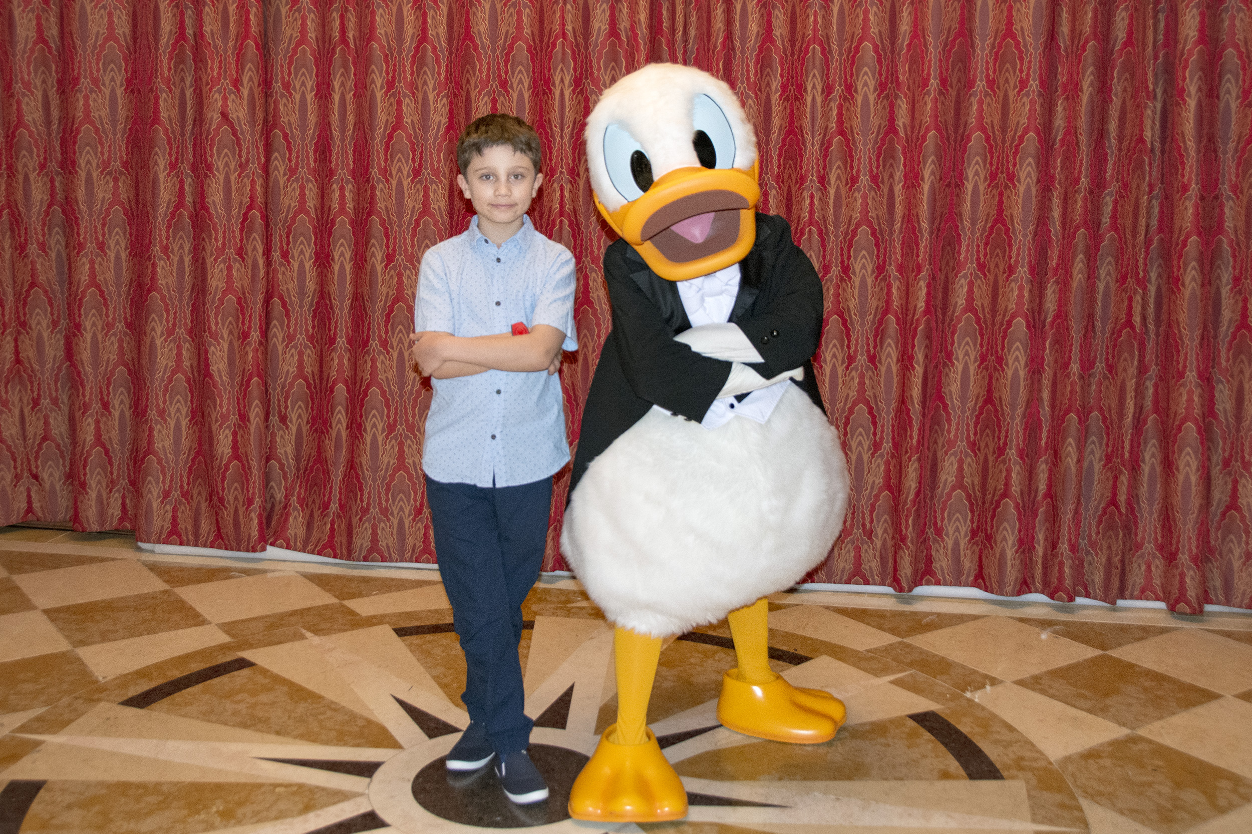 Donald Duck Disney Dream