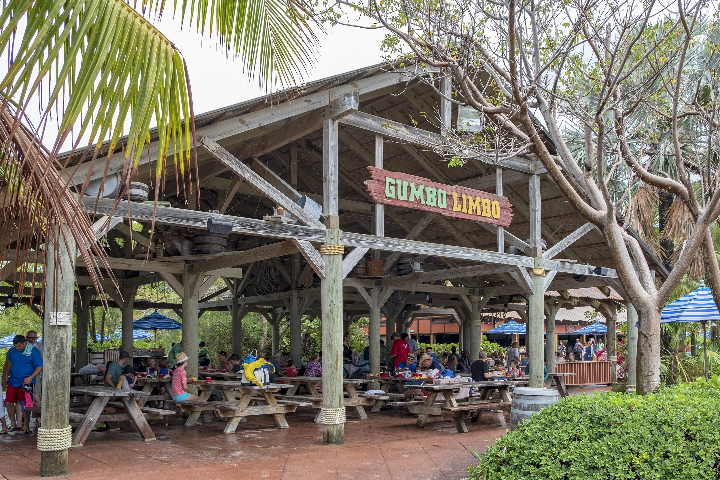 Castaway Cay Gumbo Limbo