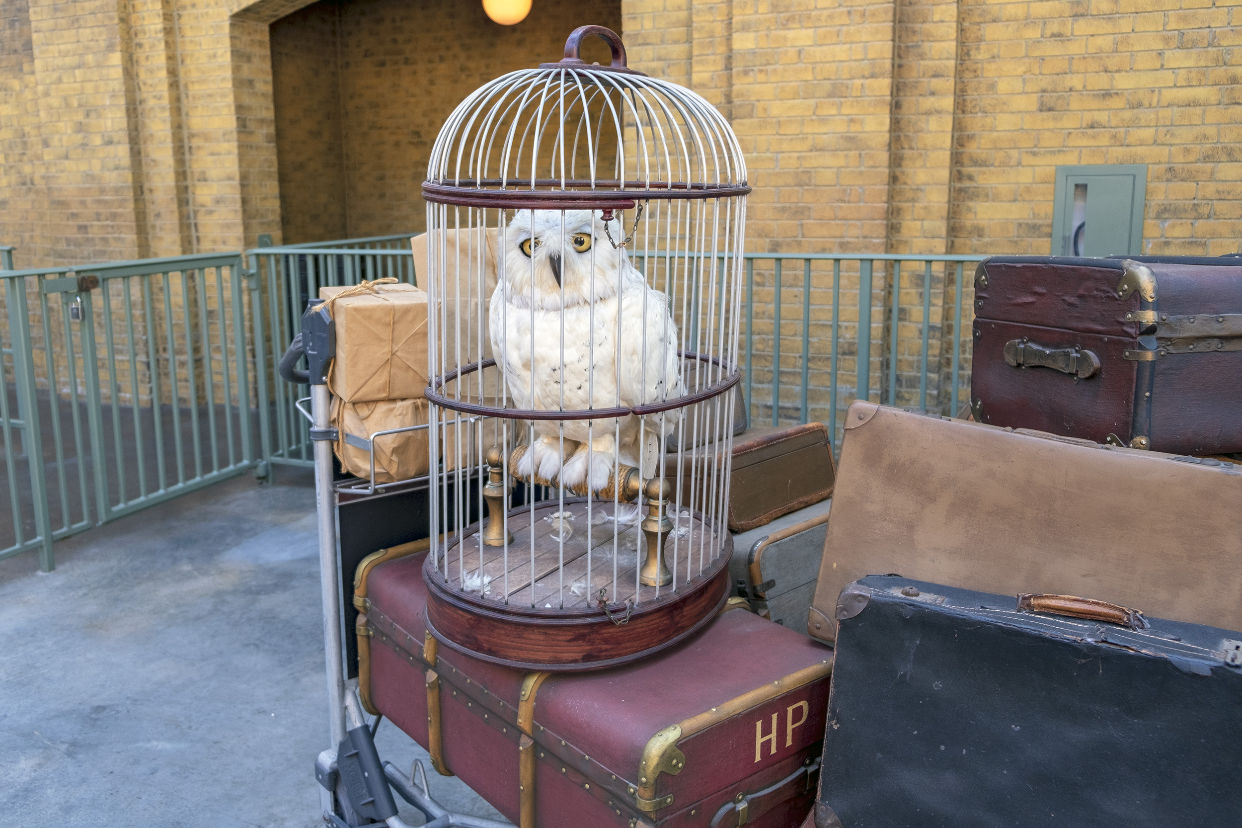 Harry Potters uggla Hedwig. The Wizarding World of Harry Potter