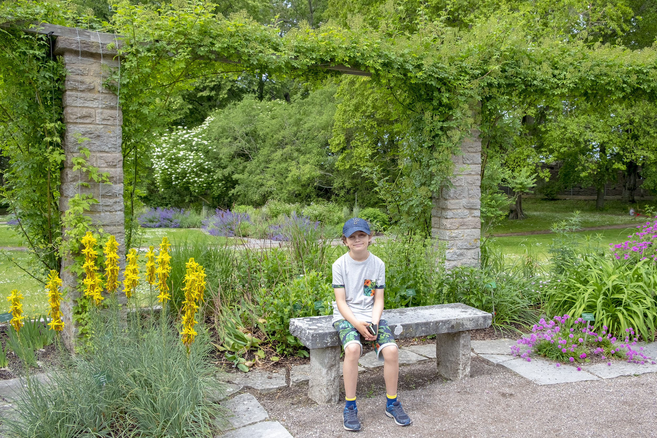 Botaniska trädgården Visby Gotland