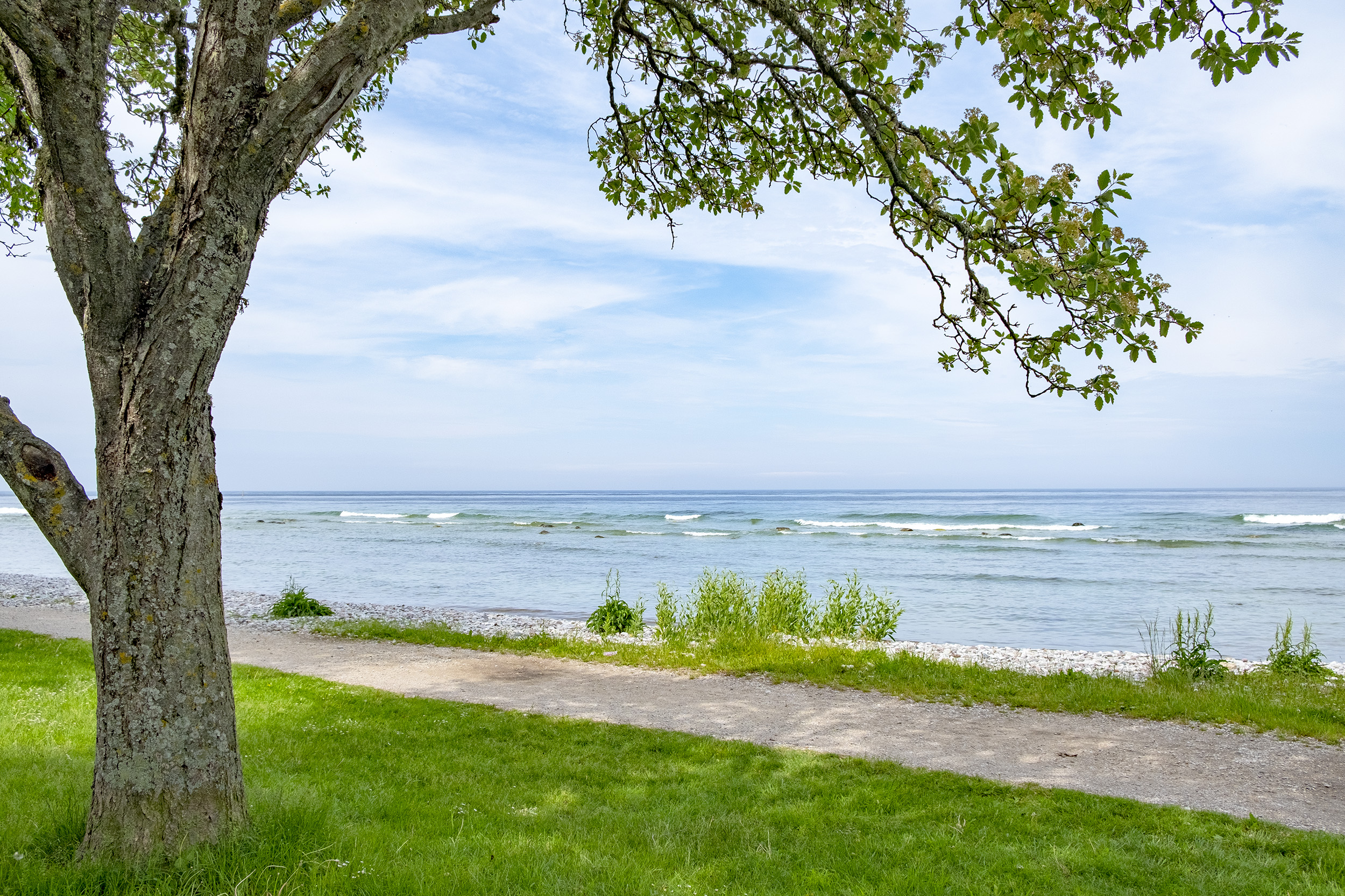 Havet i Visby, Gotland