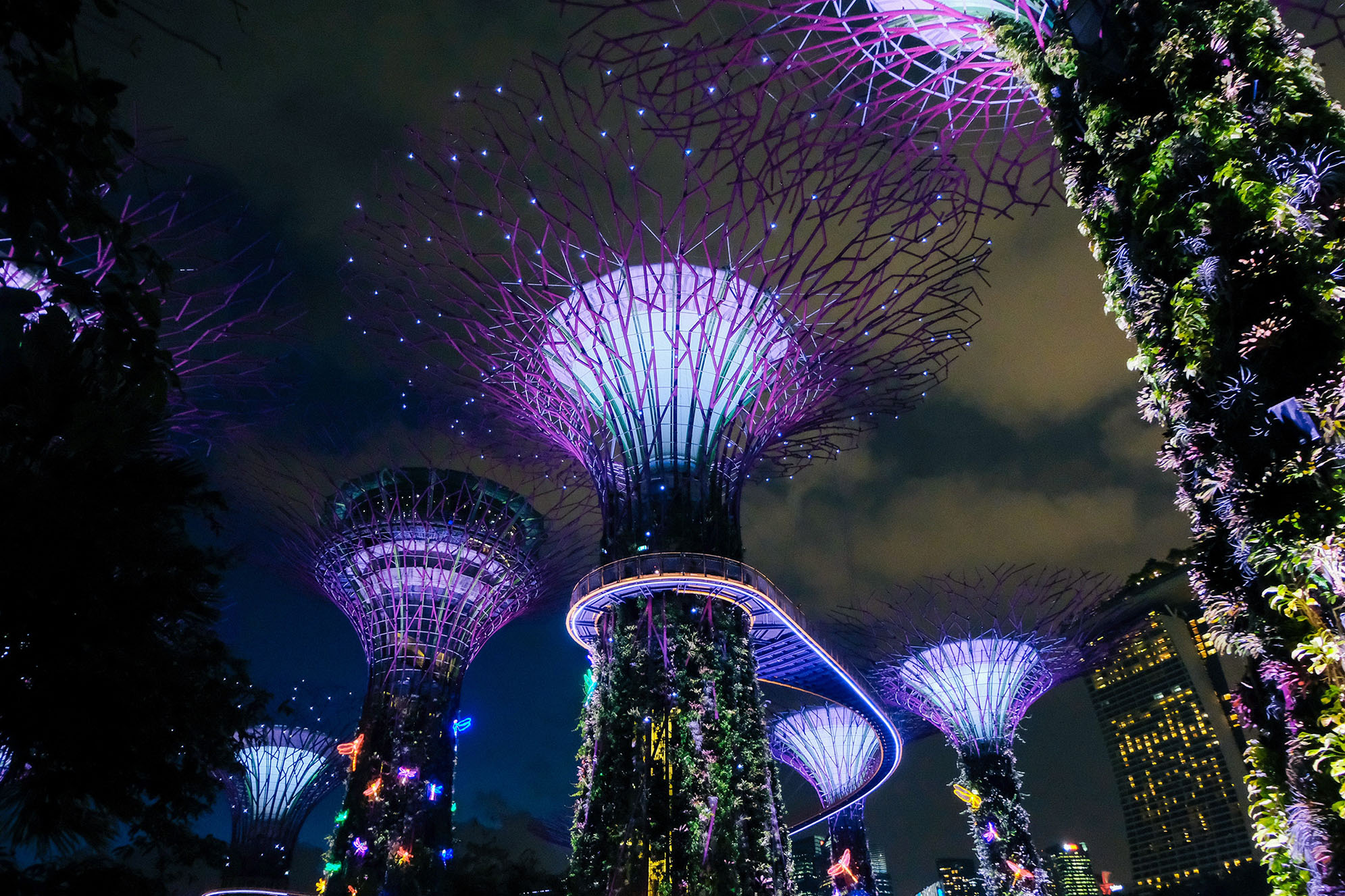 Gardens by the bay Singapore