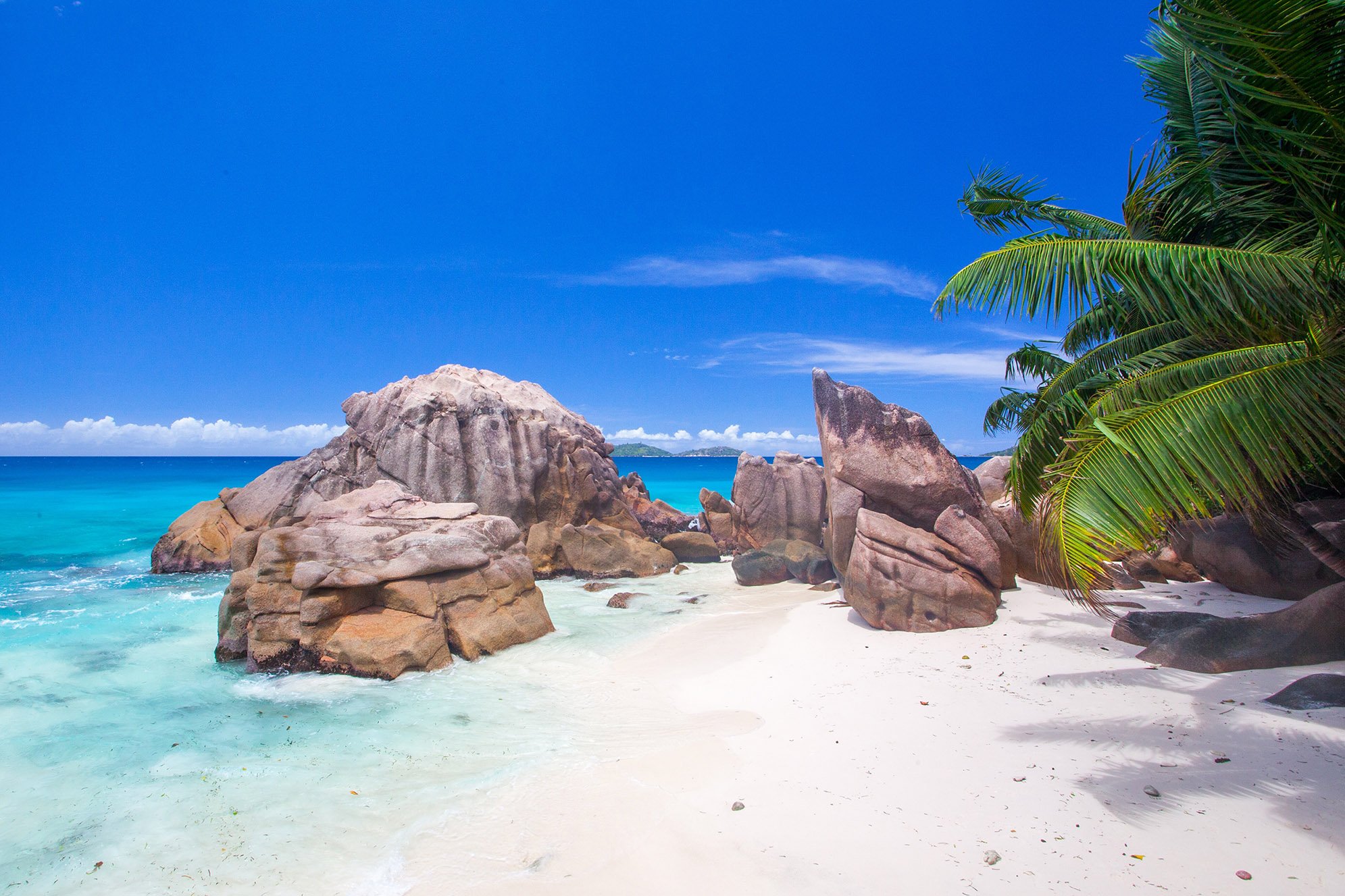 Seychellerna resplaner och drömmar inför 2020