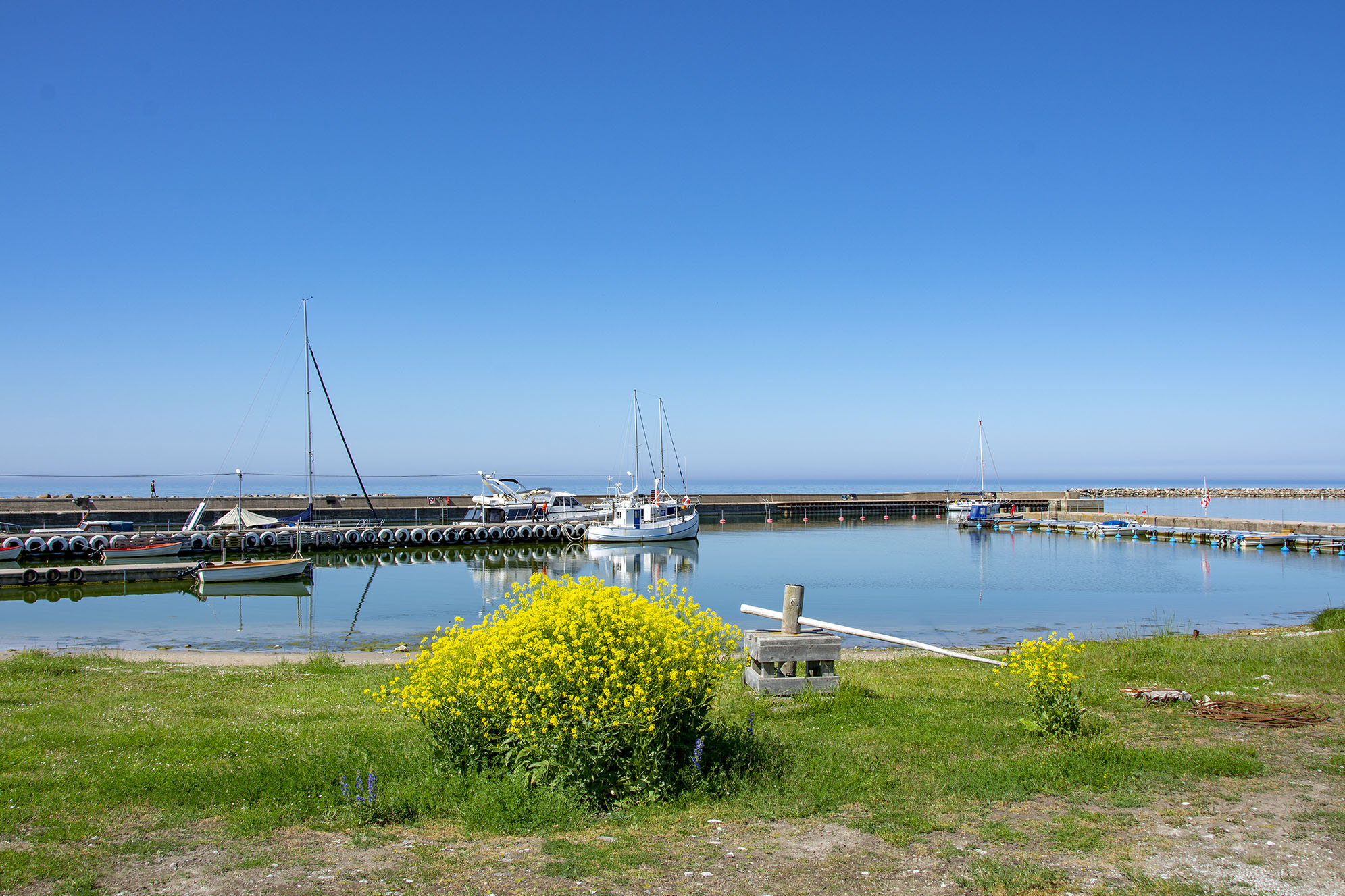 Lickershamn Gotland TIllbakablick på 2019