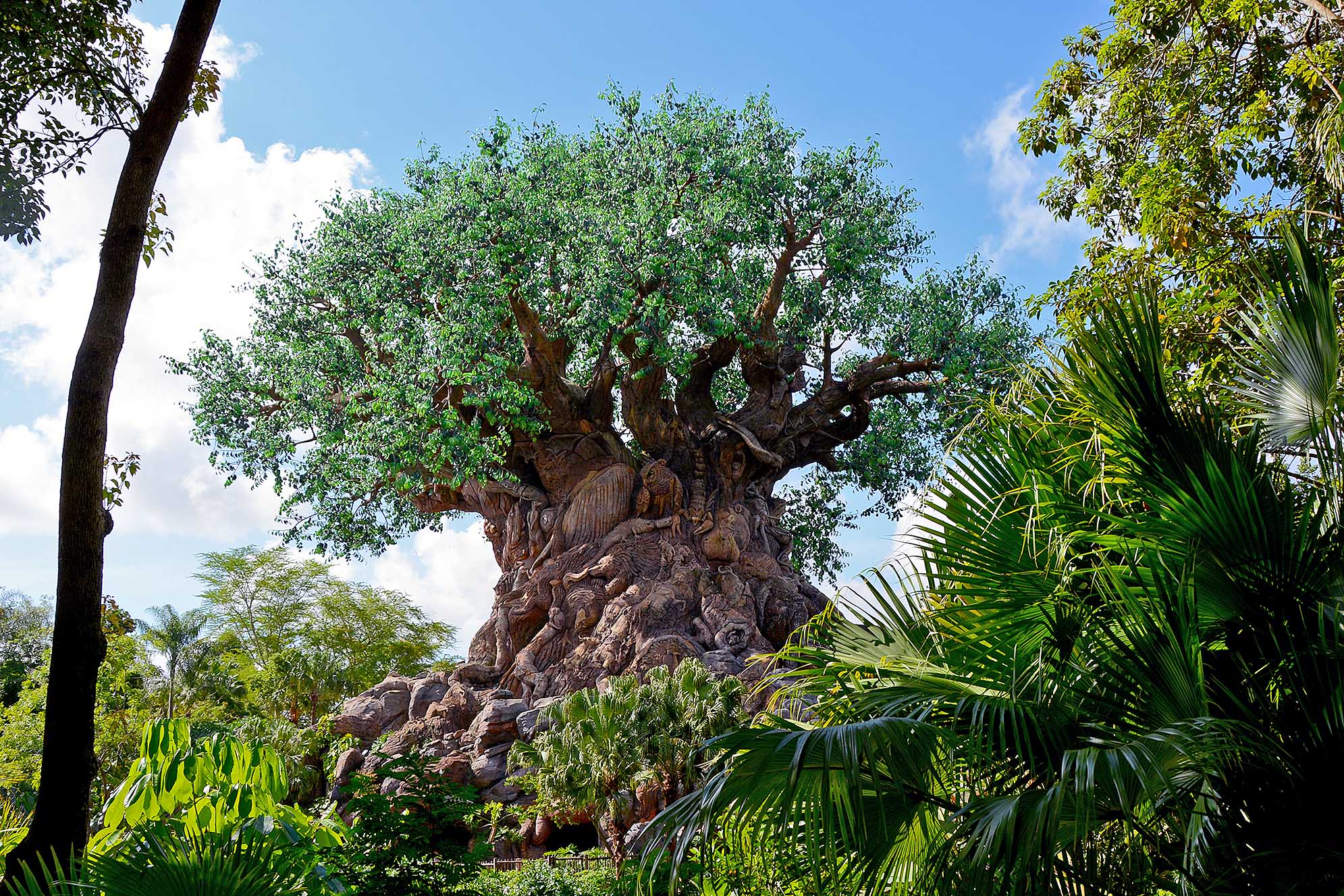 Tree of Life i Disney's Animal Kingdom.