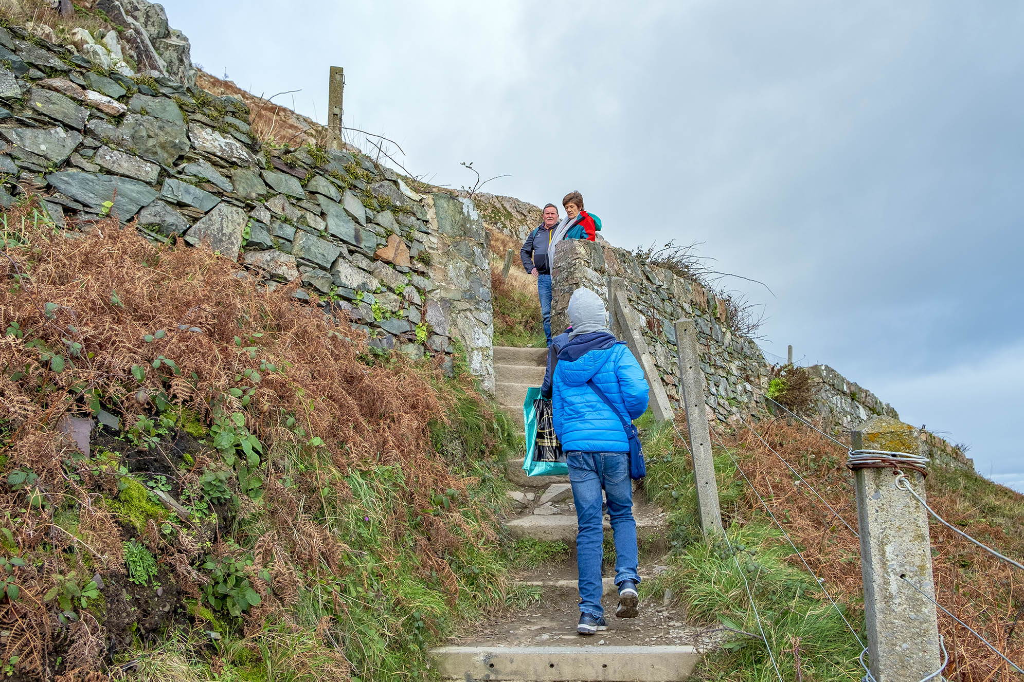 Cliff Walk Bray Greystones