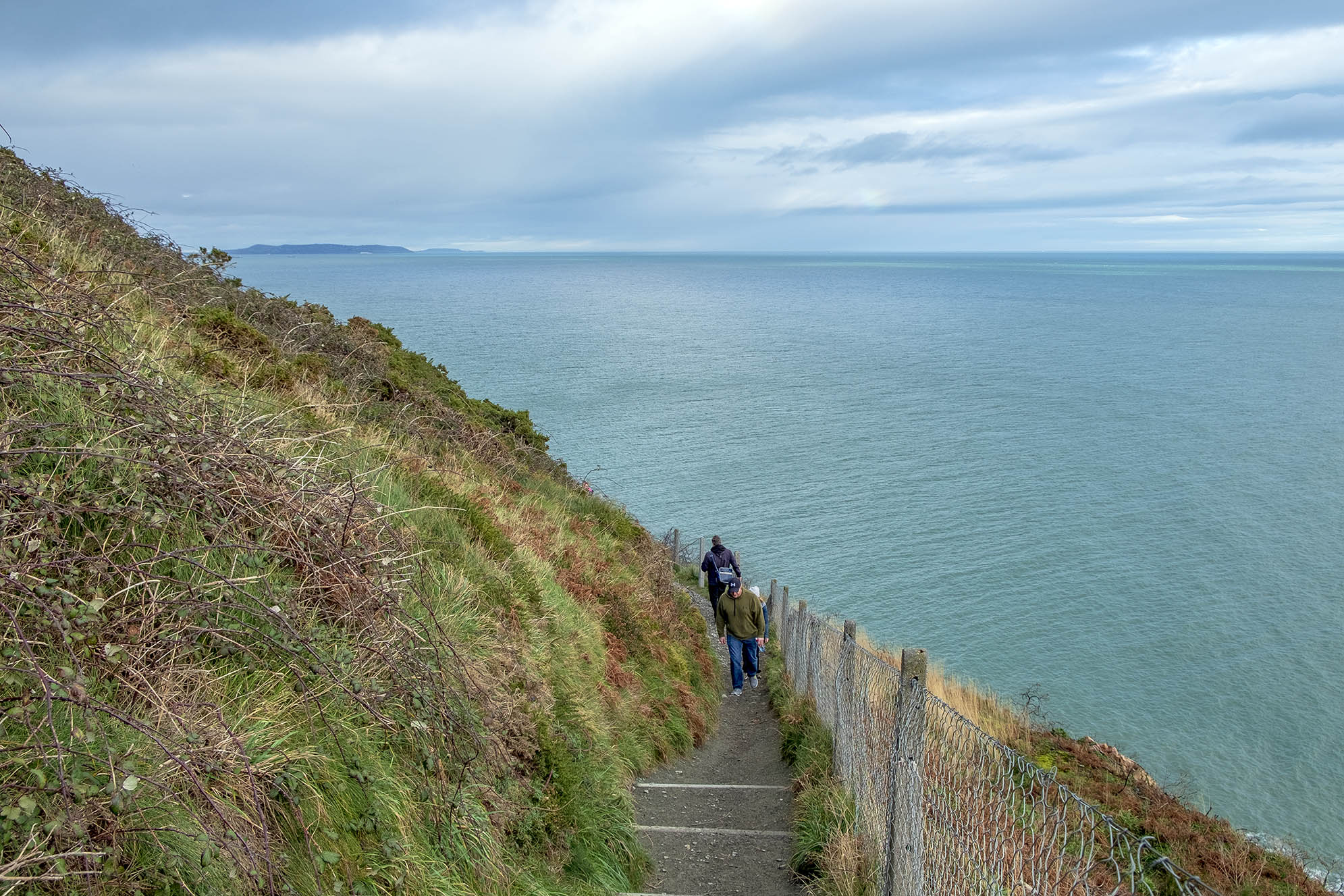 Cliff Walk Bray Greystones