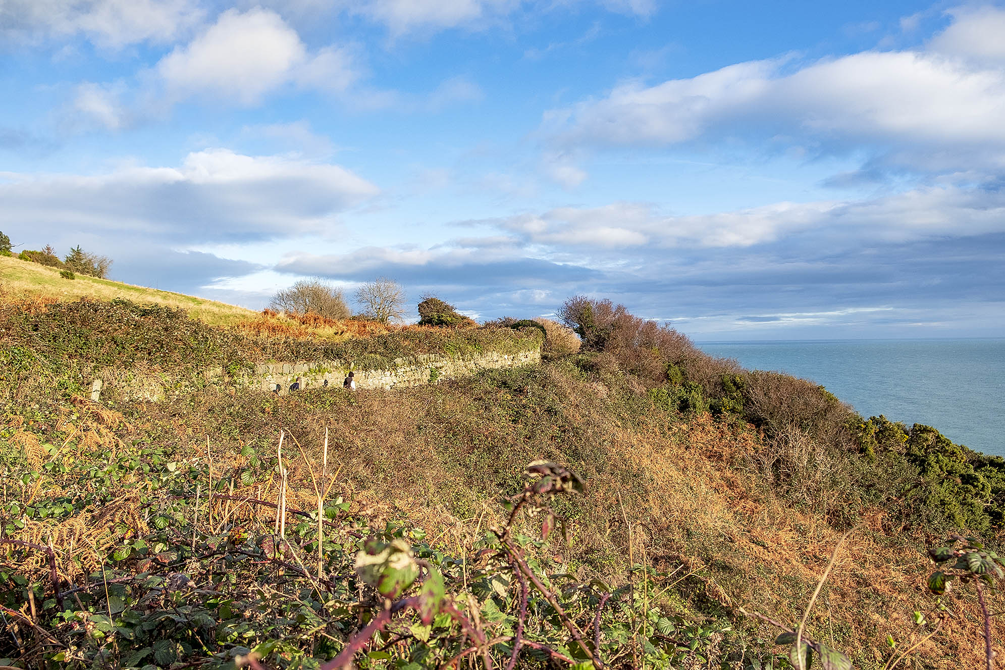 The Cliff Walk