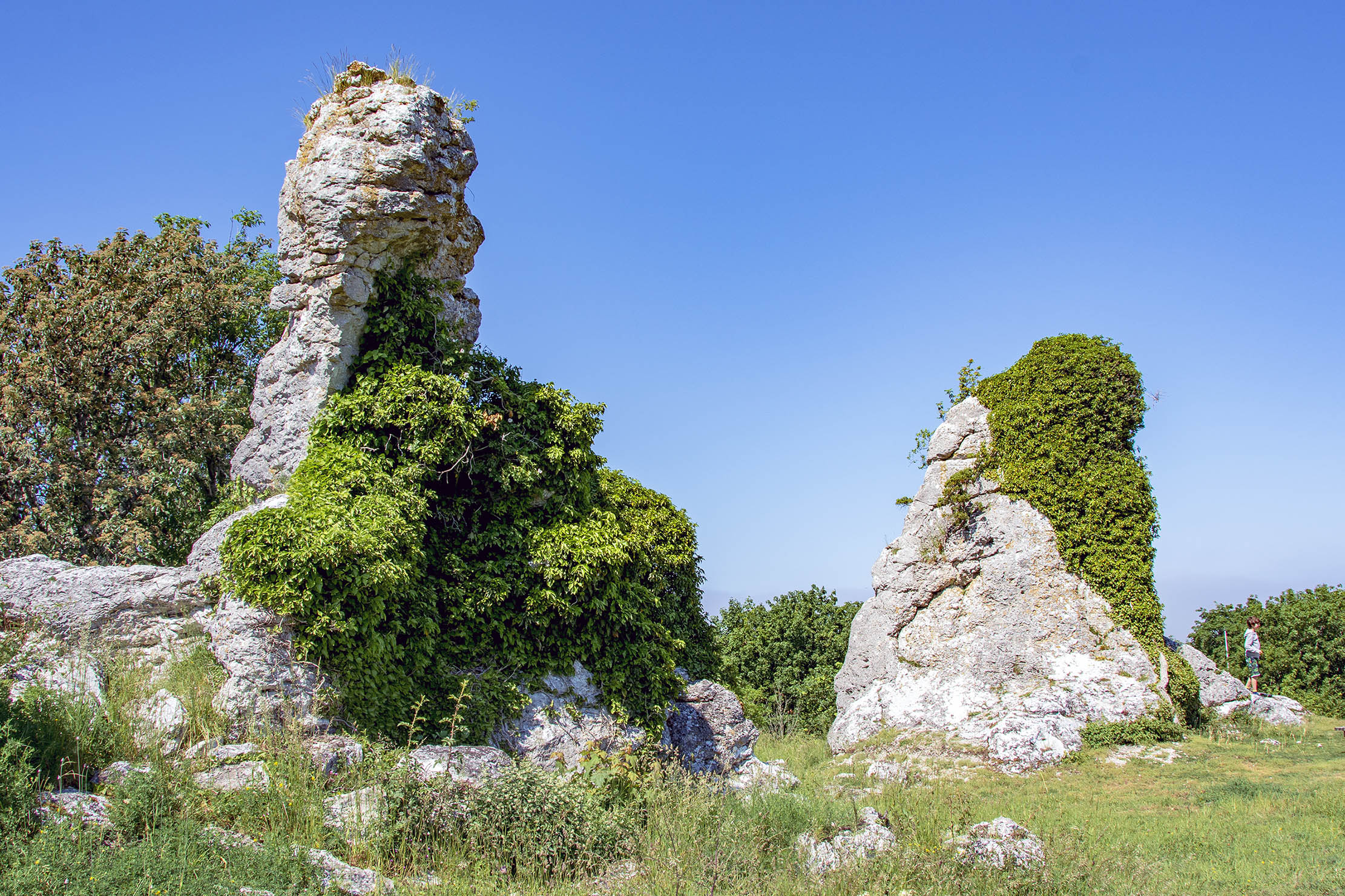 Raukar Lickershamn Gotland