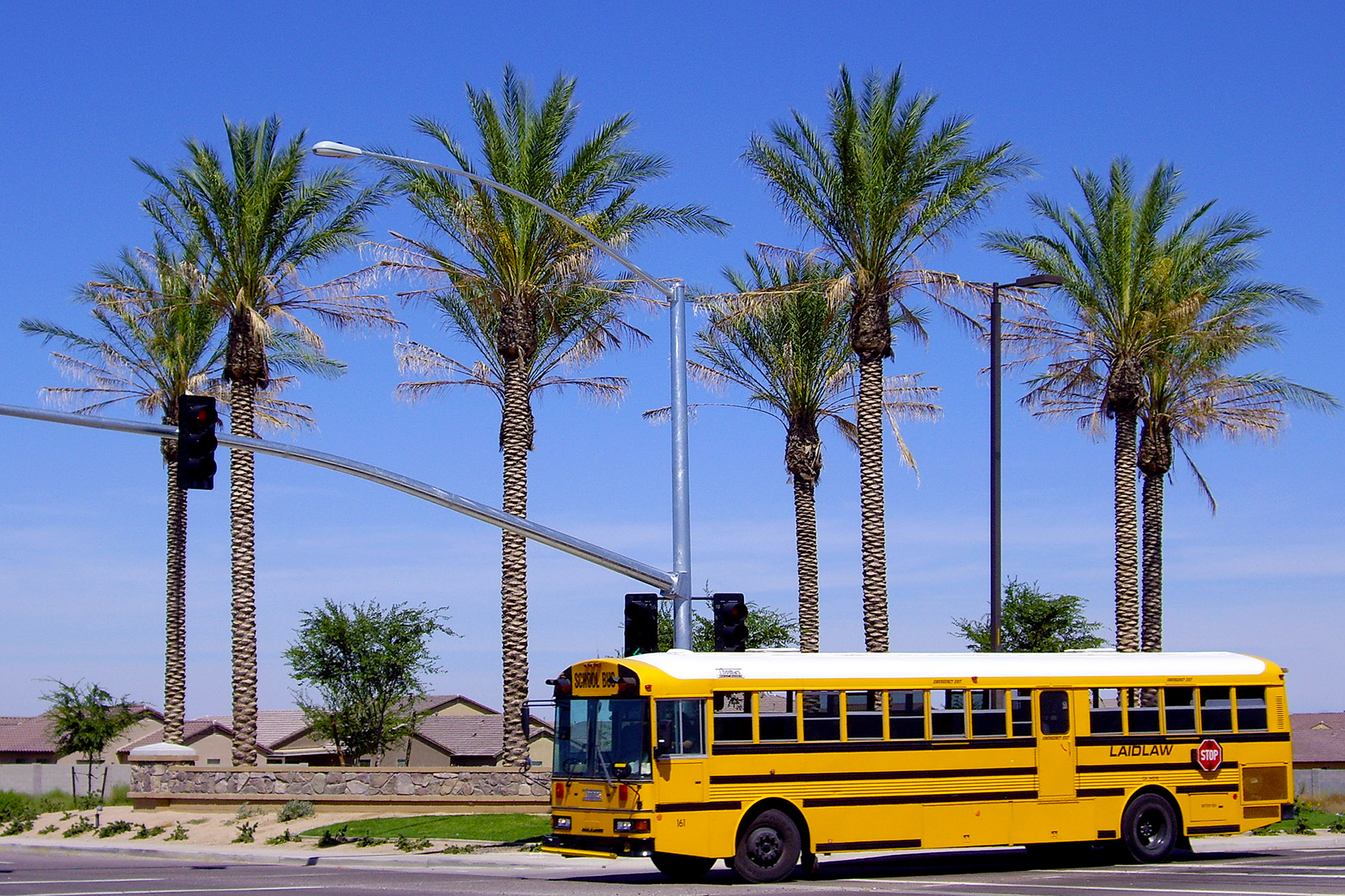 Queen Creek Arizona Skolbuss