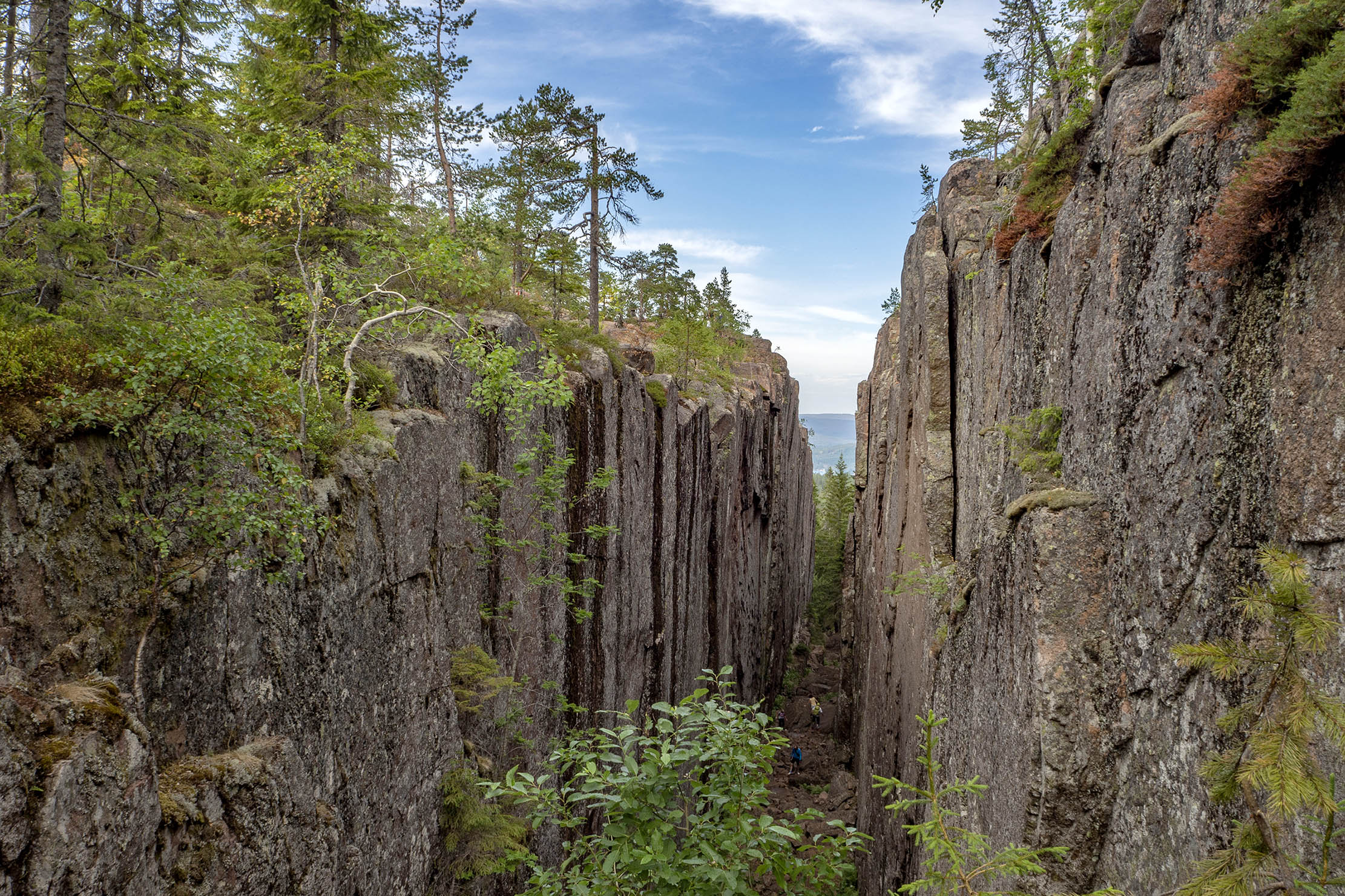 Semester i Sverige Skuleskogen