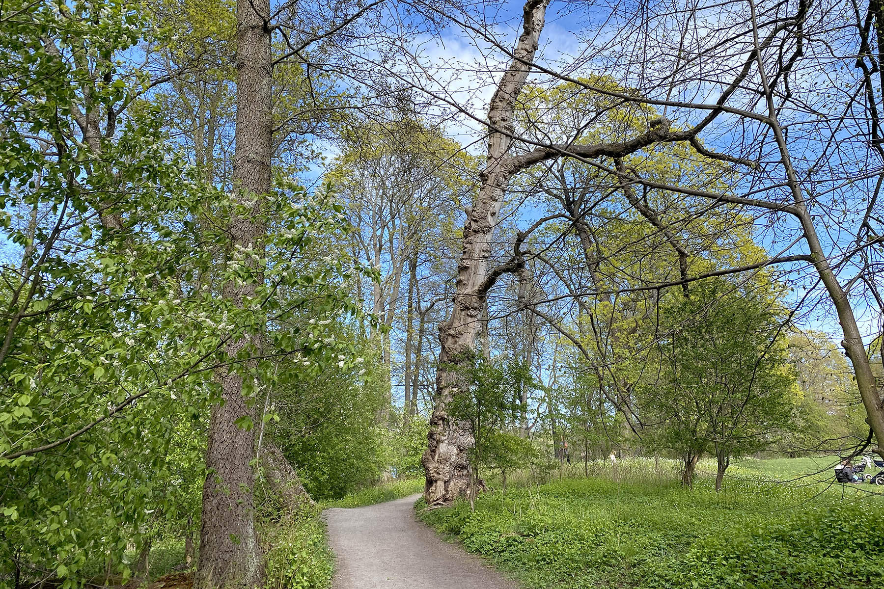 Lilla Sickla Filosofens grav nackareservatet