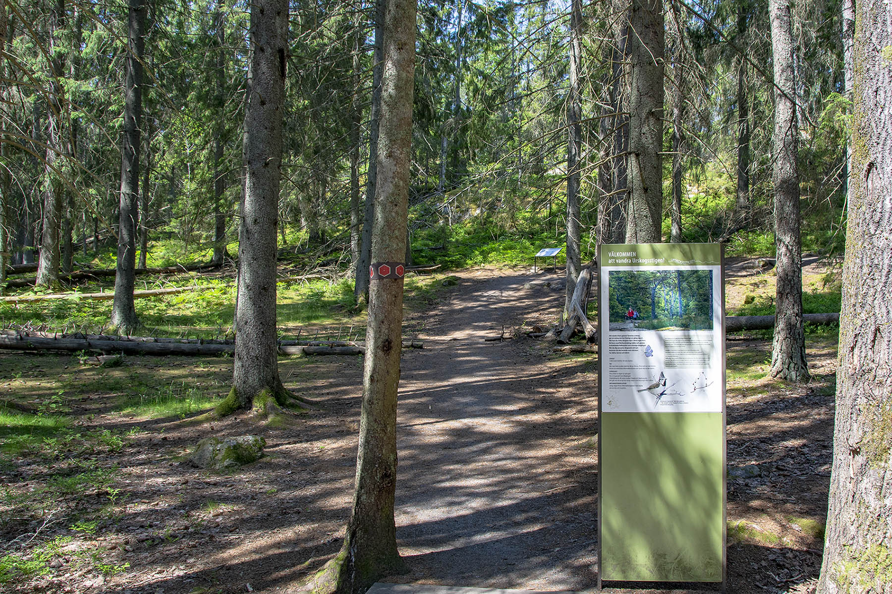 Urskogsstigen Tyresta