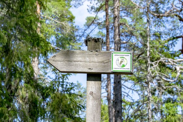 Urskogsstigen Tyresta Nationalpark
