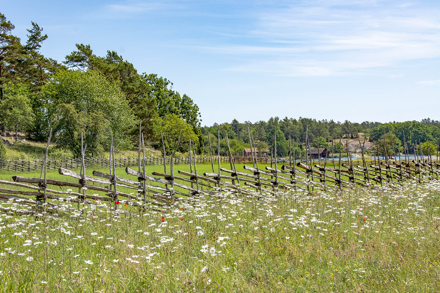 Stendörrens naturreservat