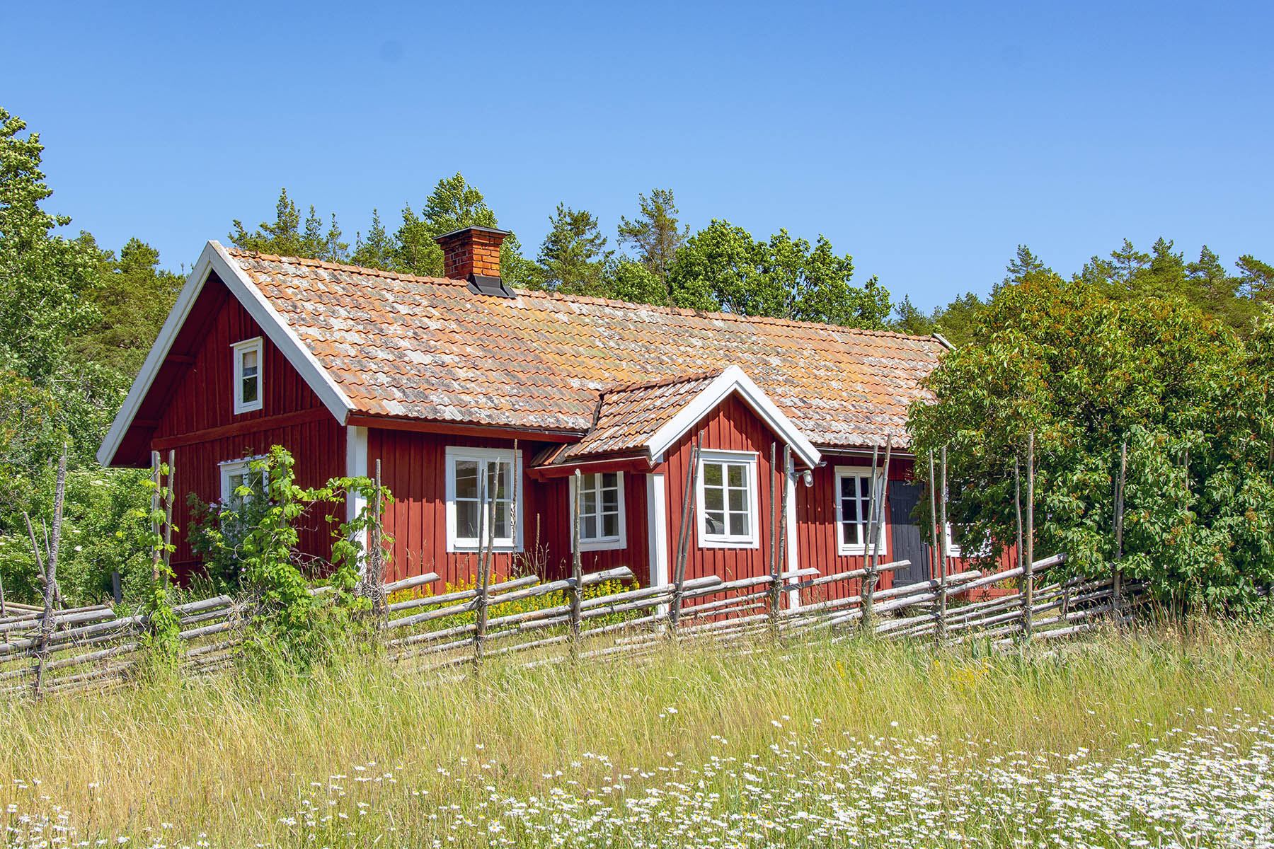 Aspnäset Stendörren Naturreservat