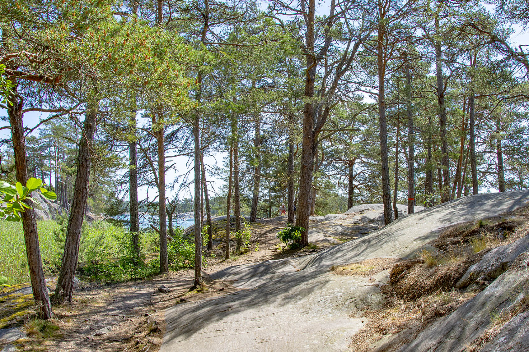 Vägen till Stora Krokholmen. 