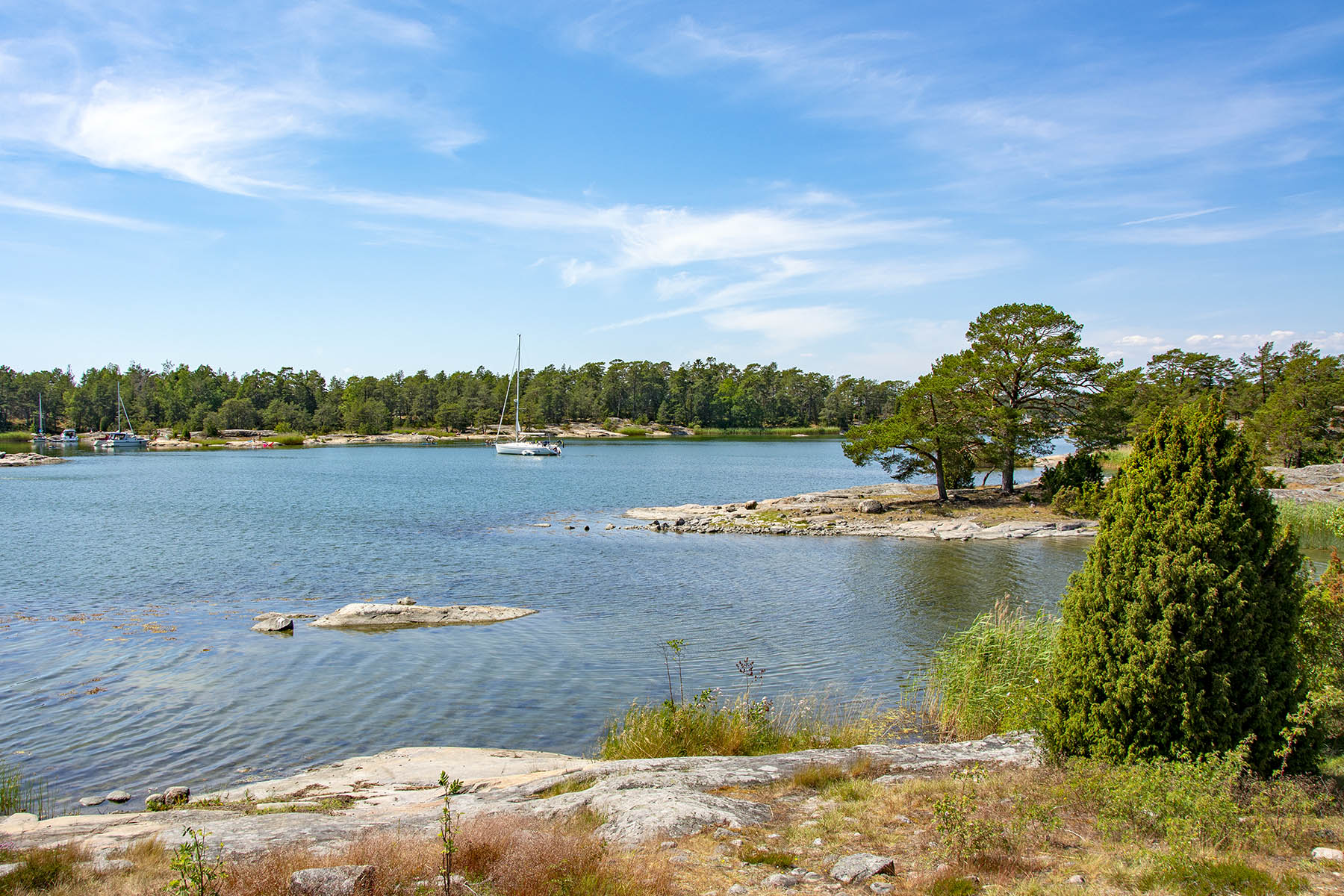 Utsikt från Naturum i Stendörrens naturreservat. 