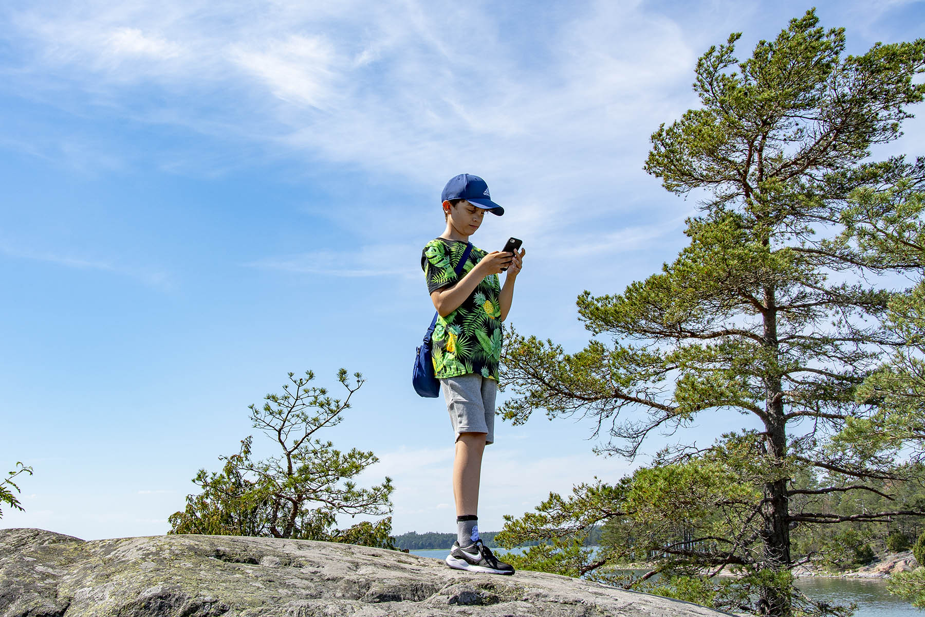 William på klippa