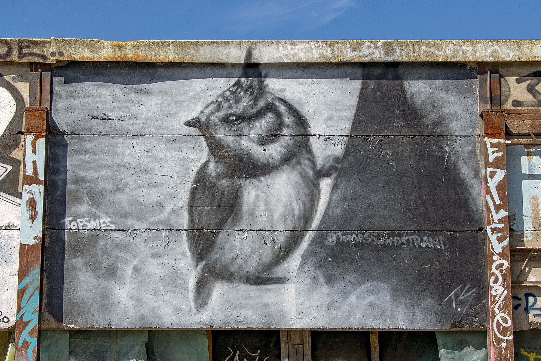 Street art fågel