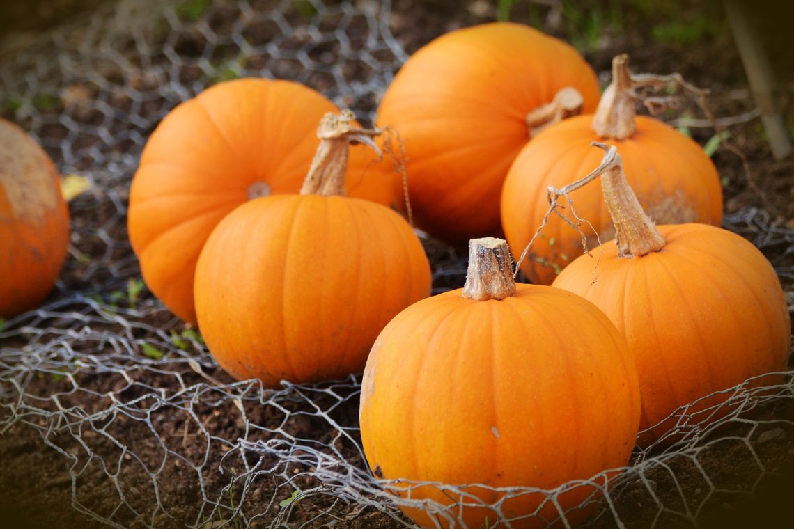 Pumpor