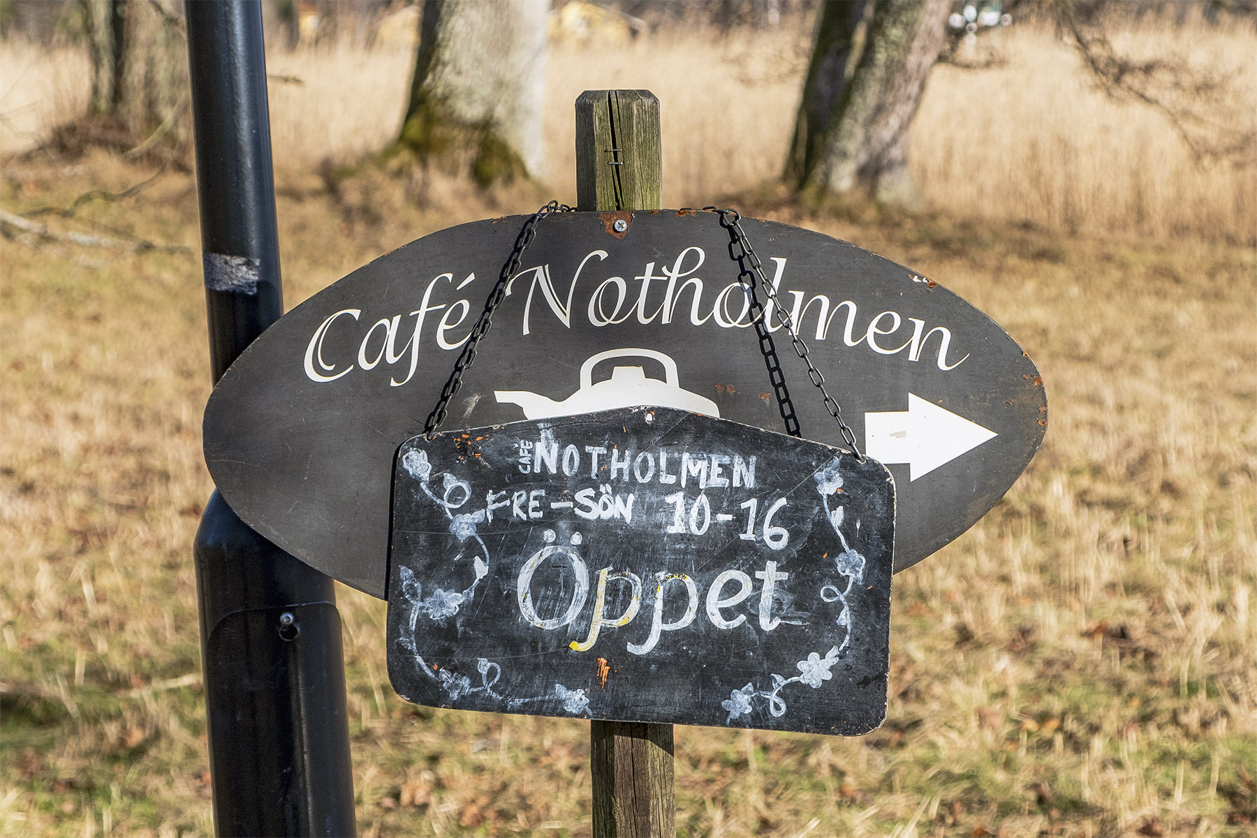 Café Notholmen